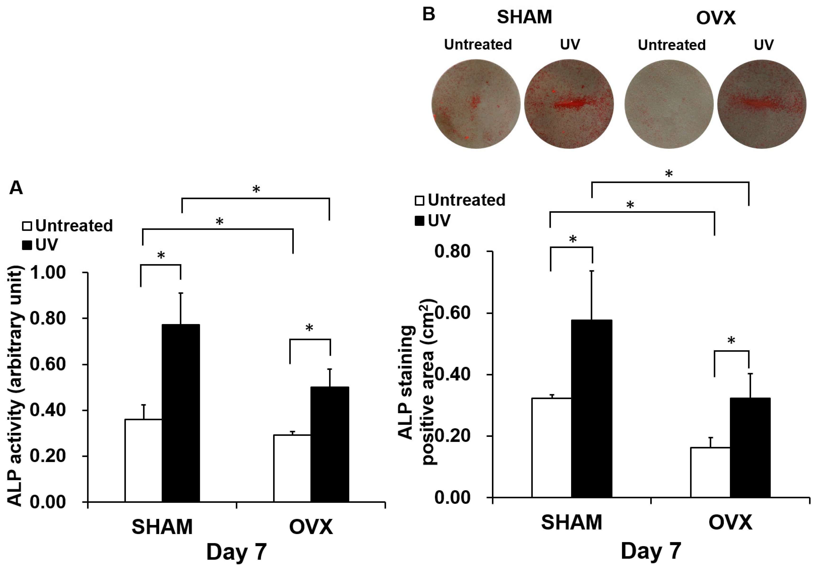 Ijms 21 01235 g005 Ijms 21 01235 g005