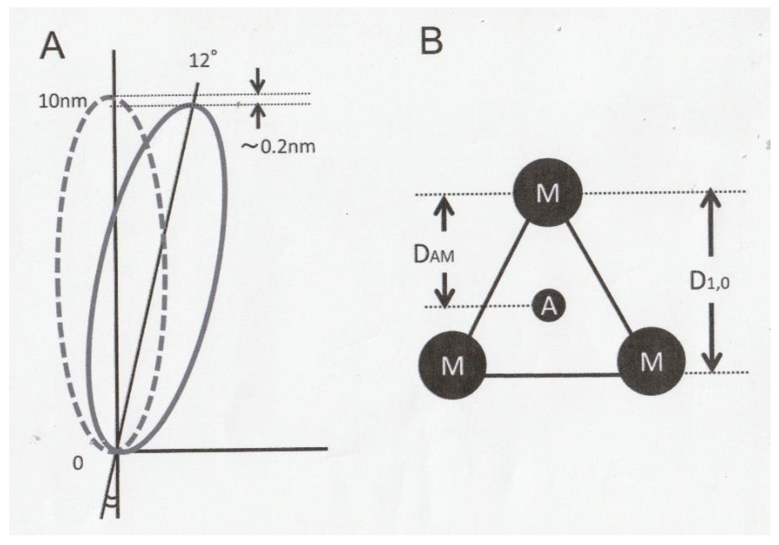 Ijms Free Full Text X Ray Diffraction Studies On The Structural Origin Of Dynamic Tension Recovery Following Ramp Shaped Releases In High Ca Rigor Muscle Fibers Html