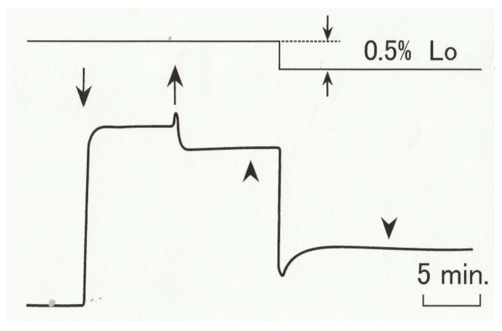 The diagram illustrates a small portion of several myofibrils