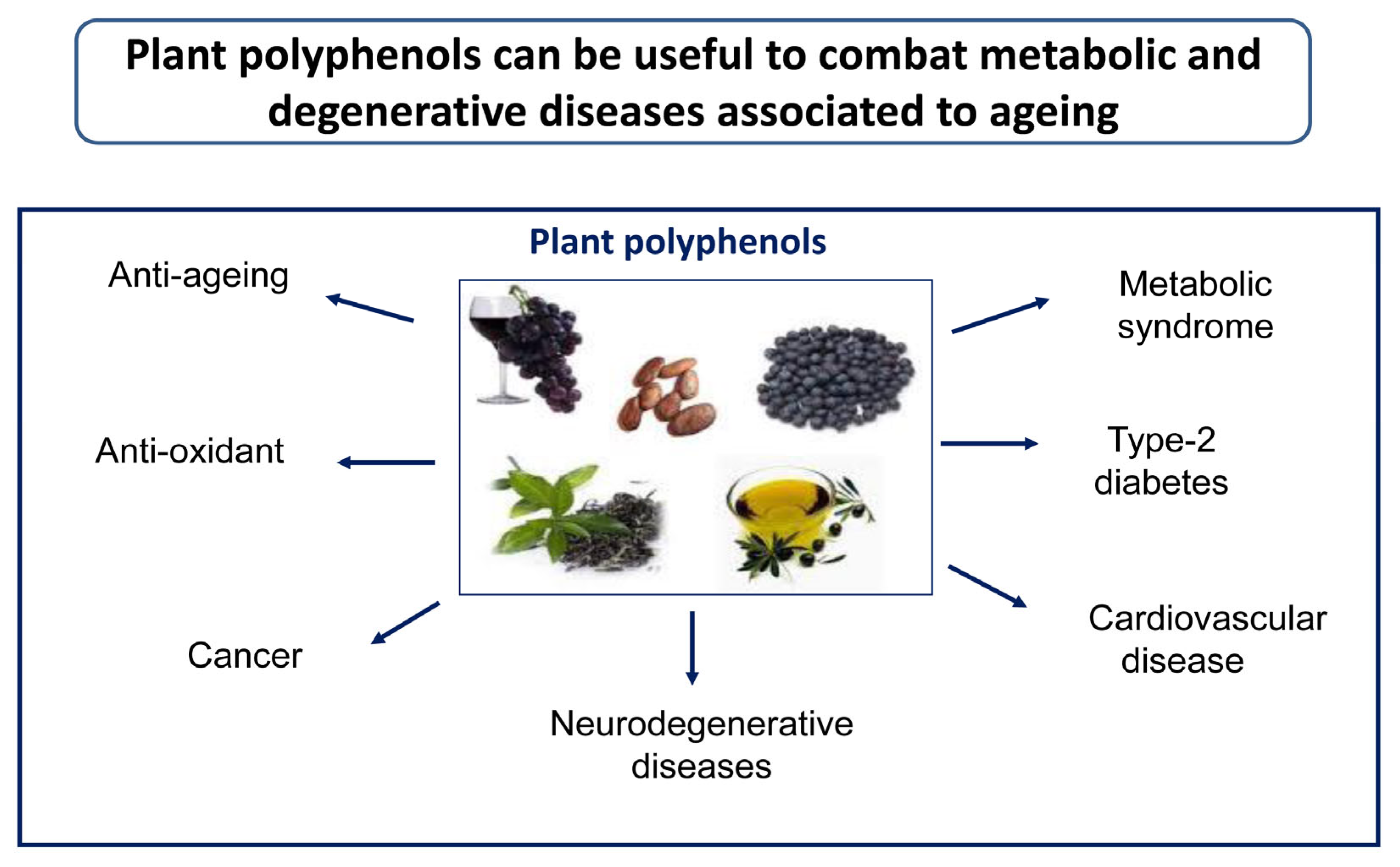 Ijms Free Full Text Healthy Effects Of Plant Polyphenols Molecular Mechanisms Html