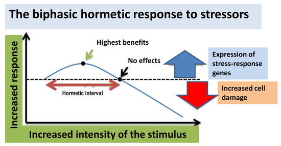 Ijms Free Full Text Healthy Effects Of Plant Polyphenols Molecular Mechanisms Html