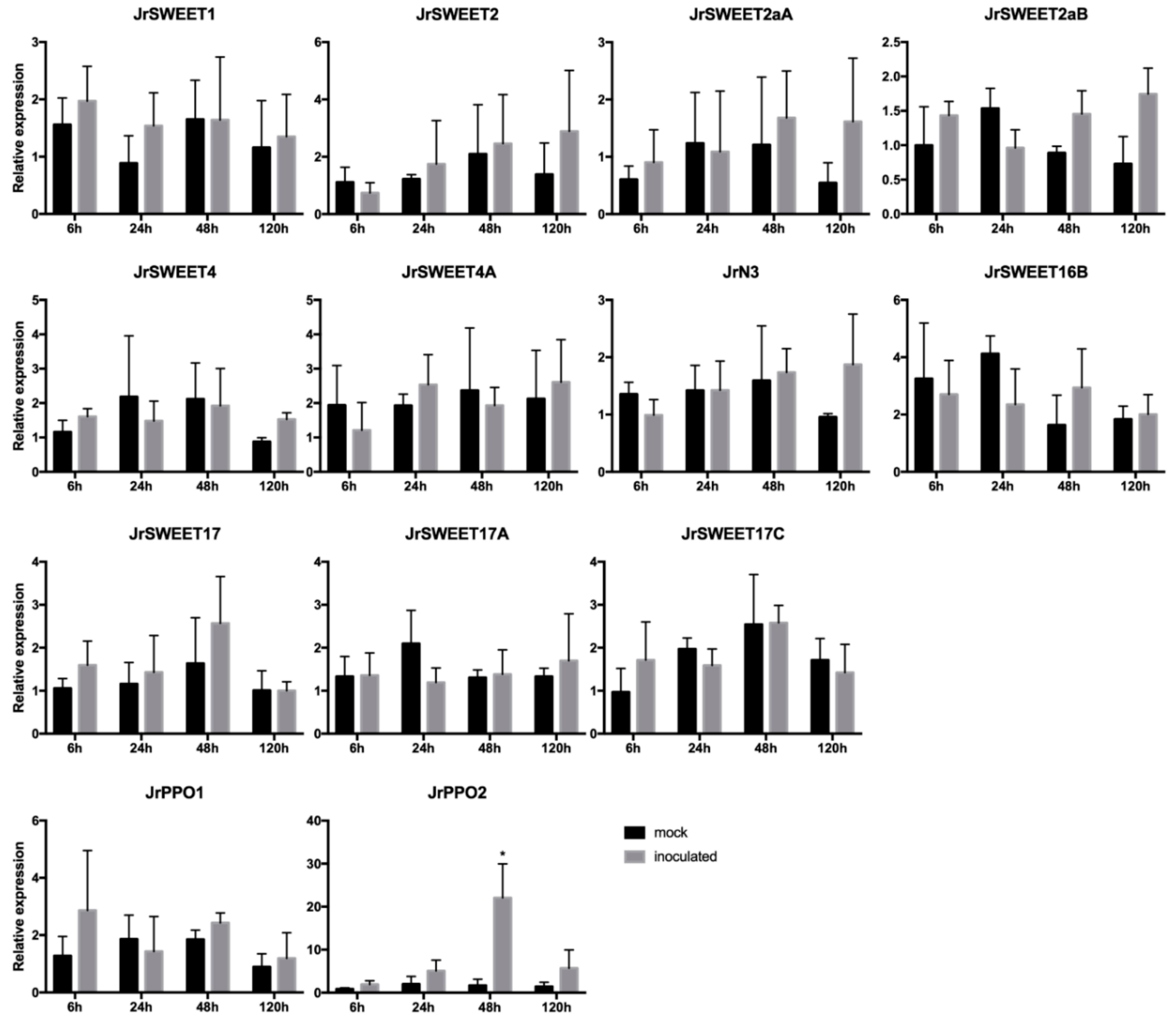 Ijms 21 01251 g008 Ijms 21 01251 g008