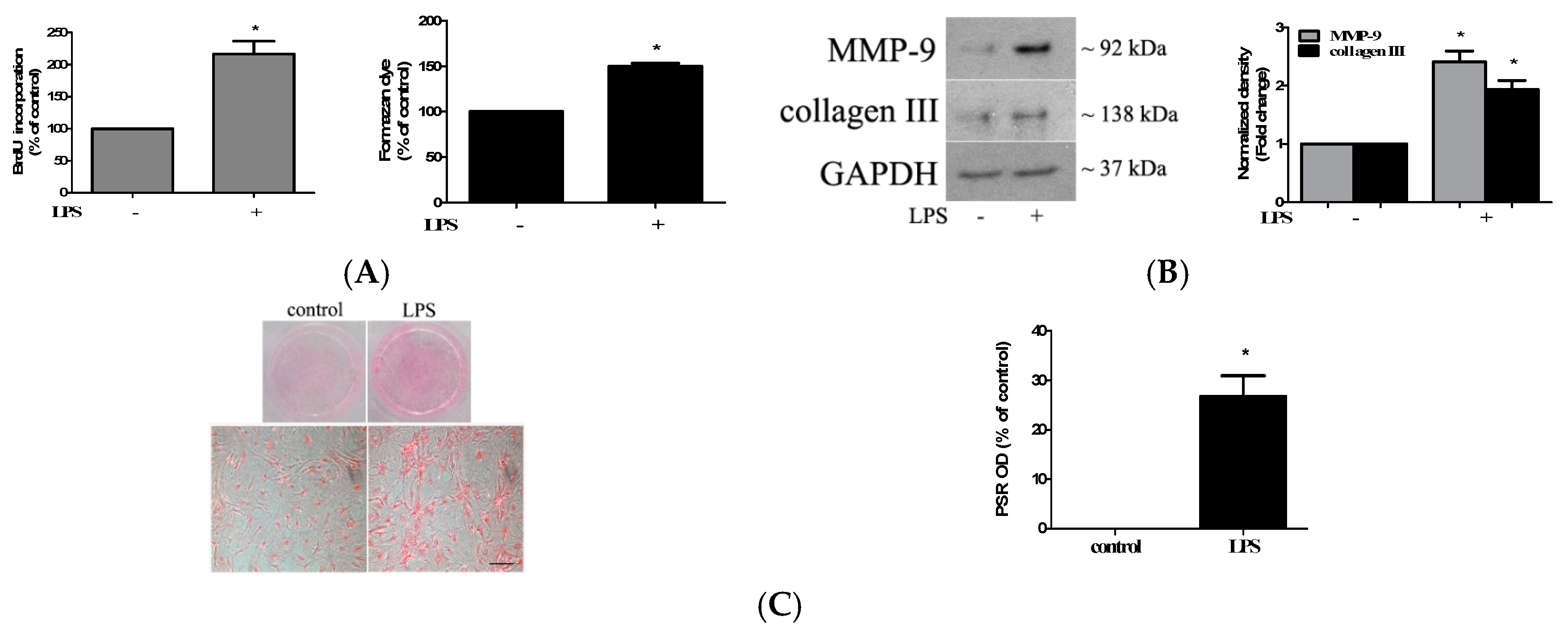 Ijms 21 01276 g001