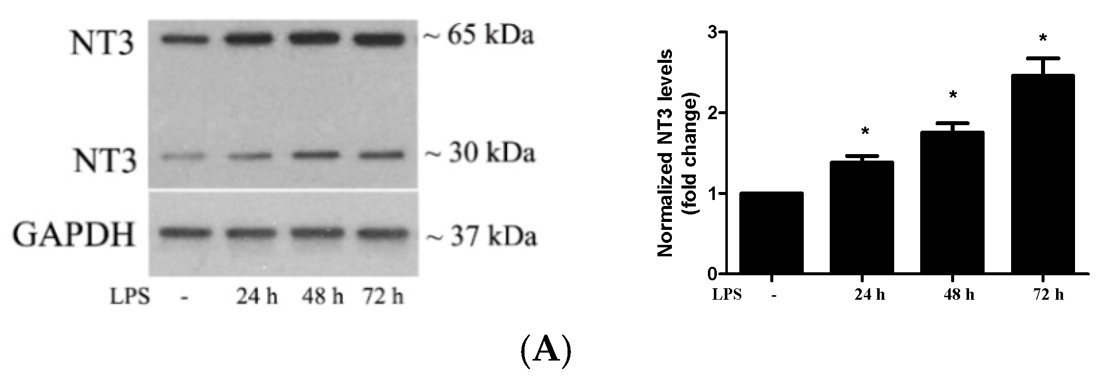 Ijms 21 01276 g002a