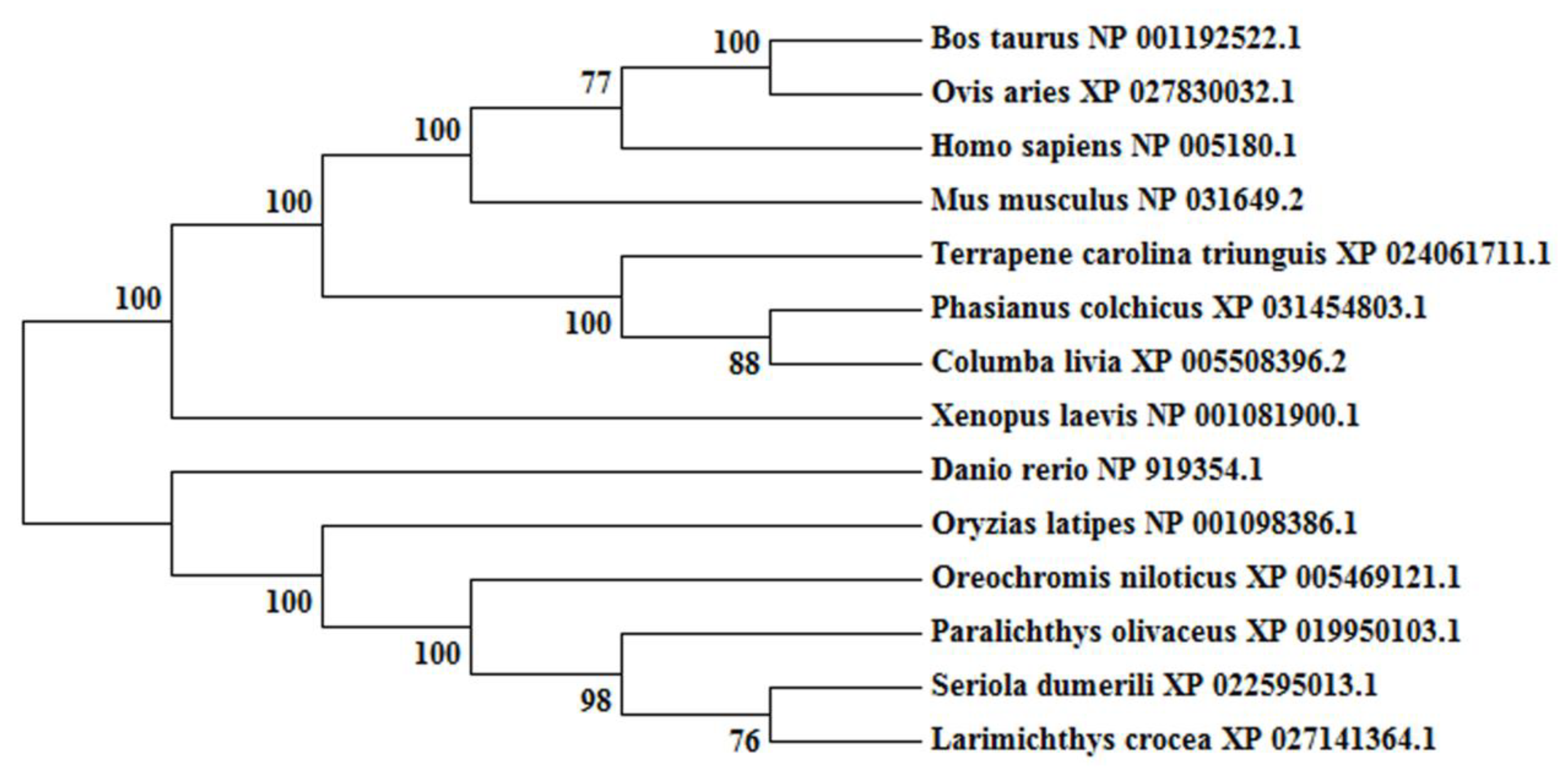 Ijms 21 01288 g003