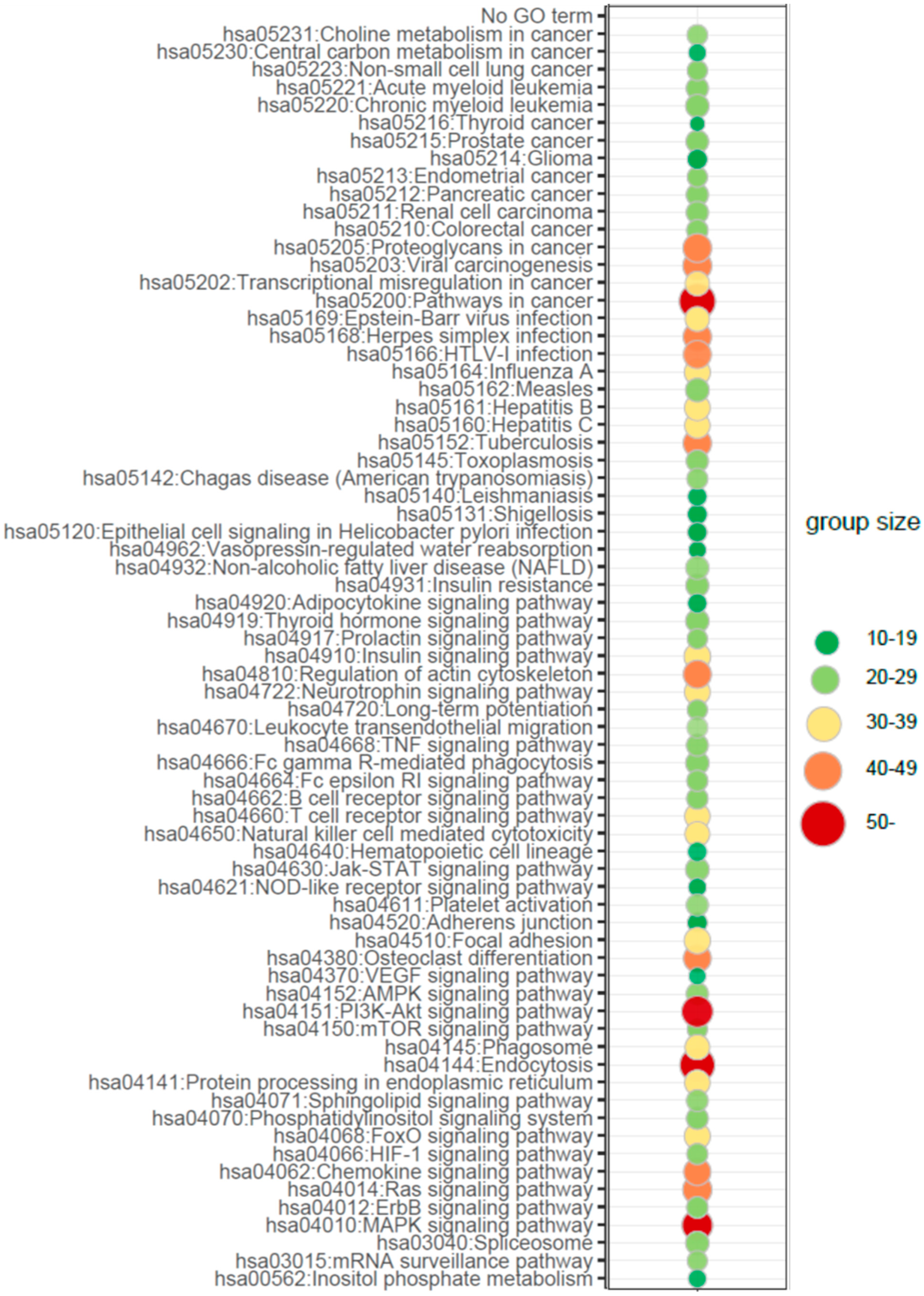 Ijms 21 01305 g003 Ijms 21 01305 g003