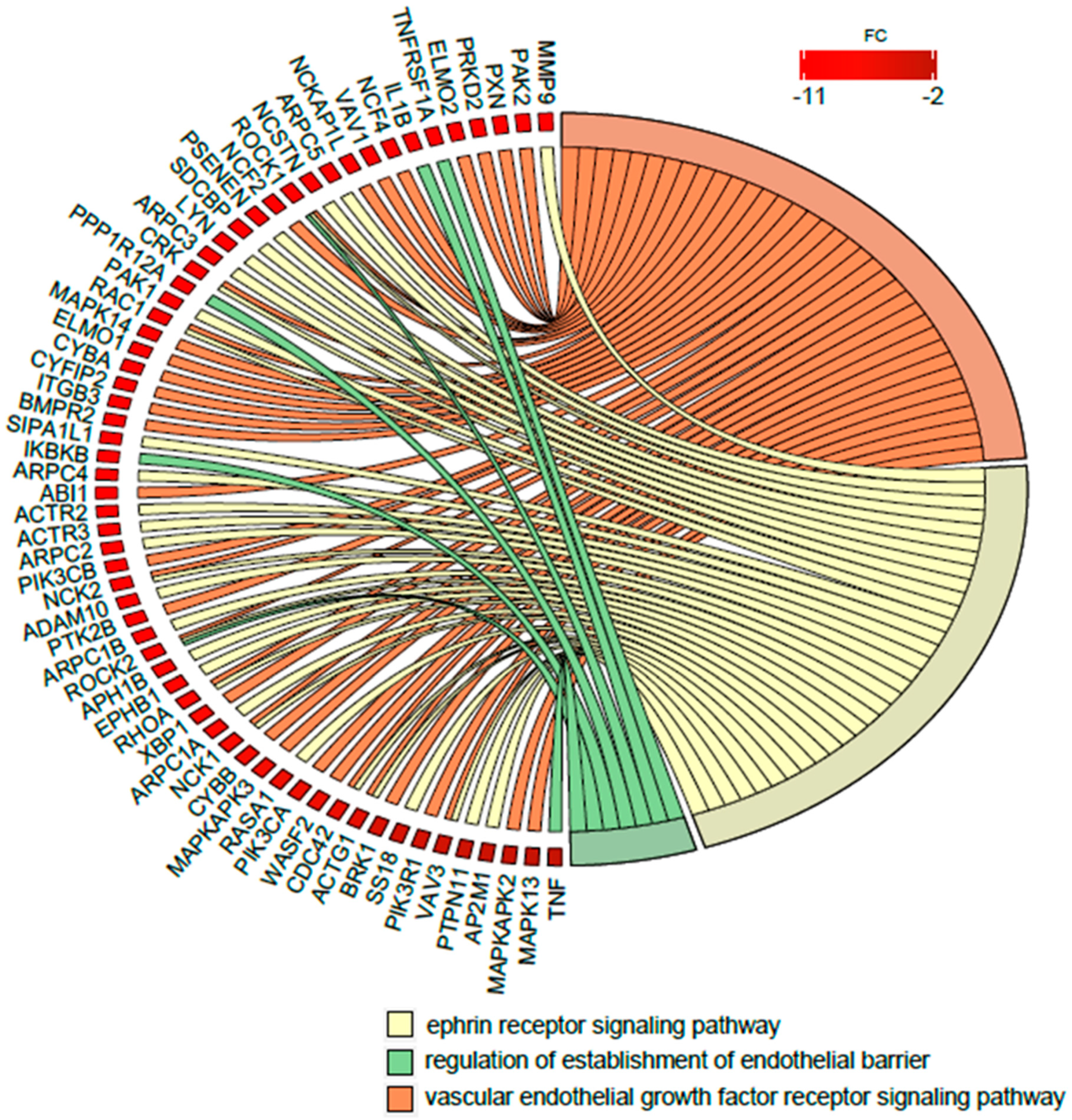Ijms 21 01305 g005 Ijms 21 01305 g005