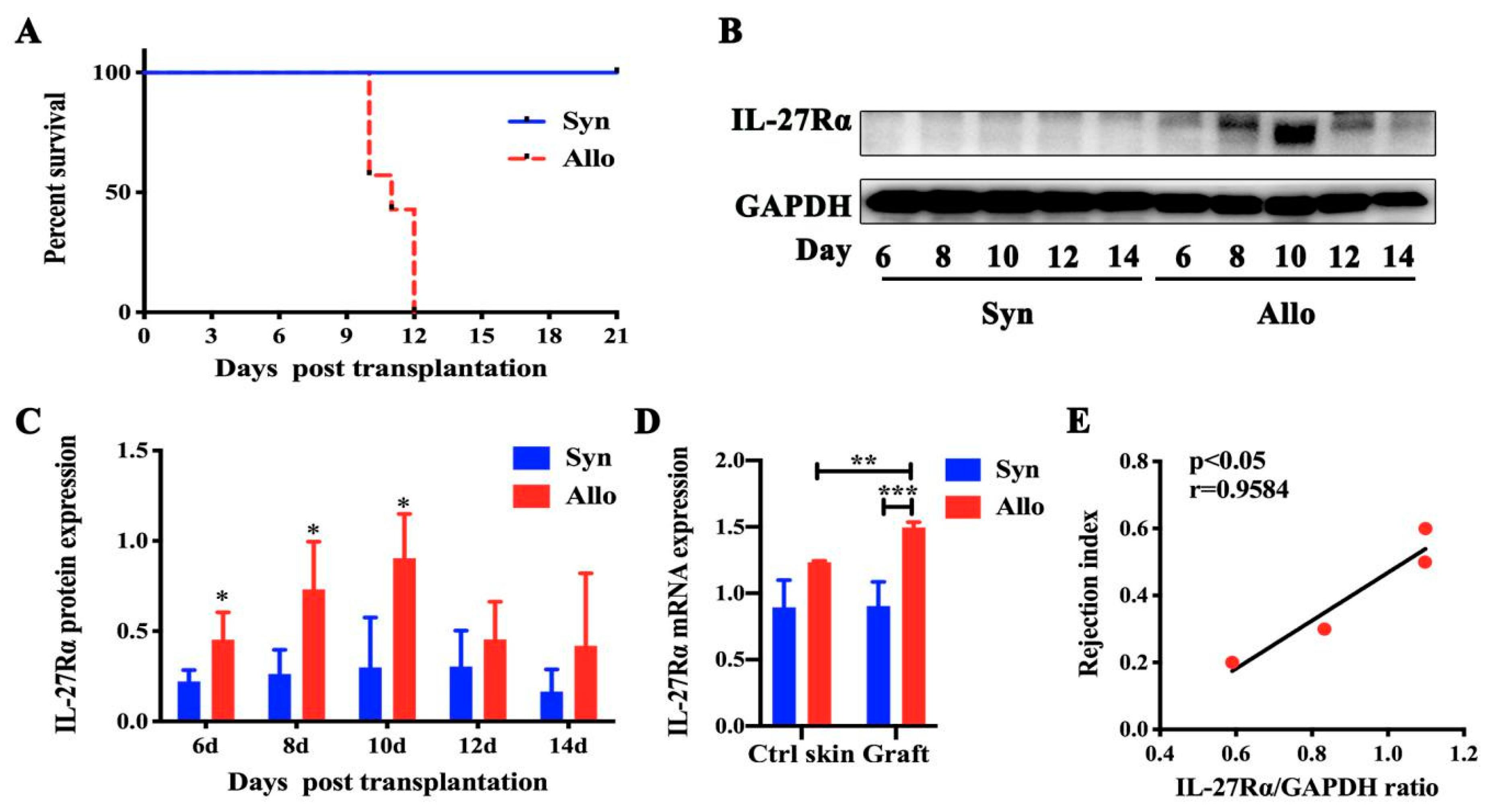 Ijms 21 01315 g001 Ijms 21 01315 g001