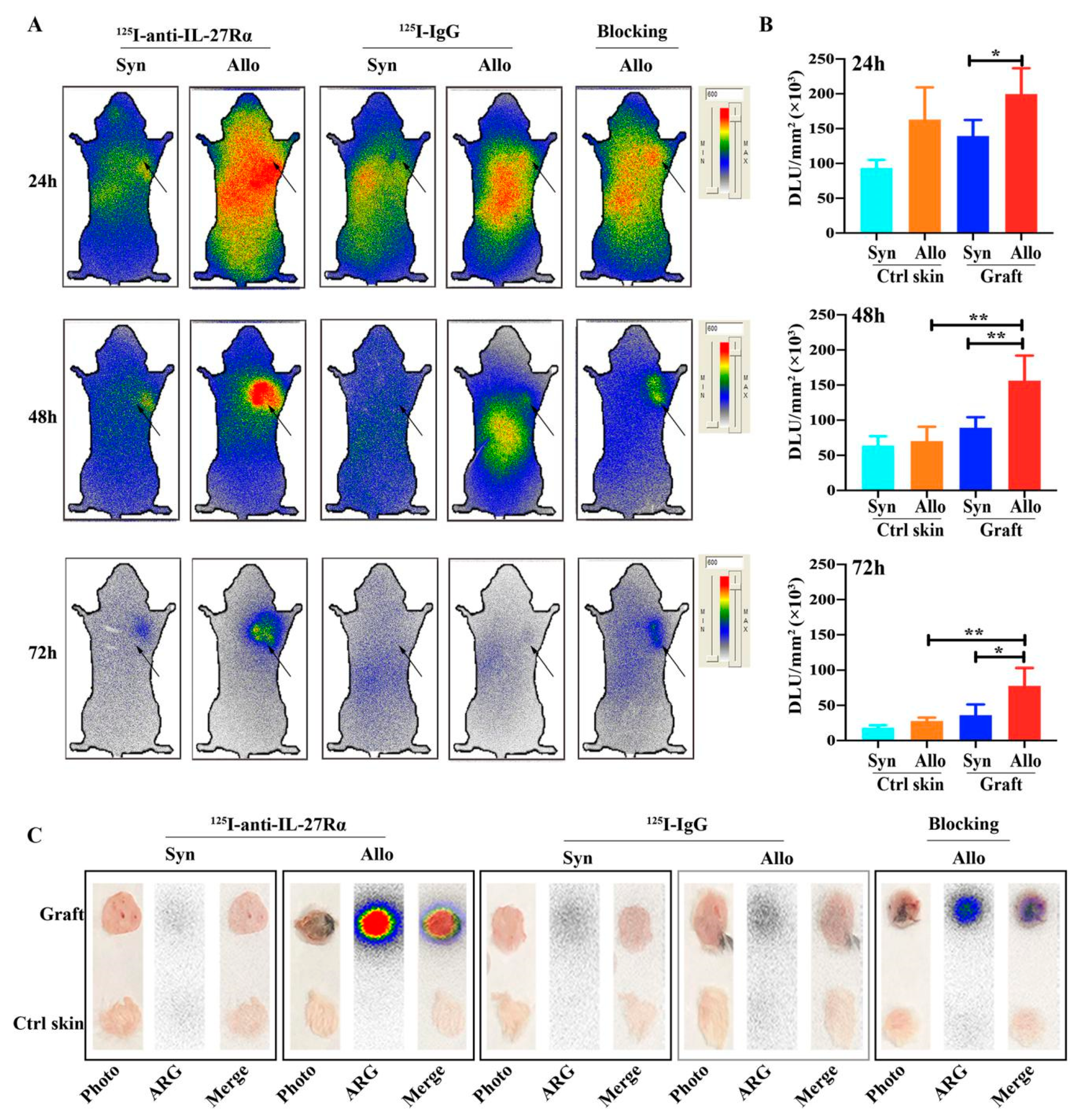 Ijms 21 01315 g003 Ijms 21 01315 g003