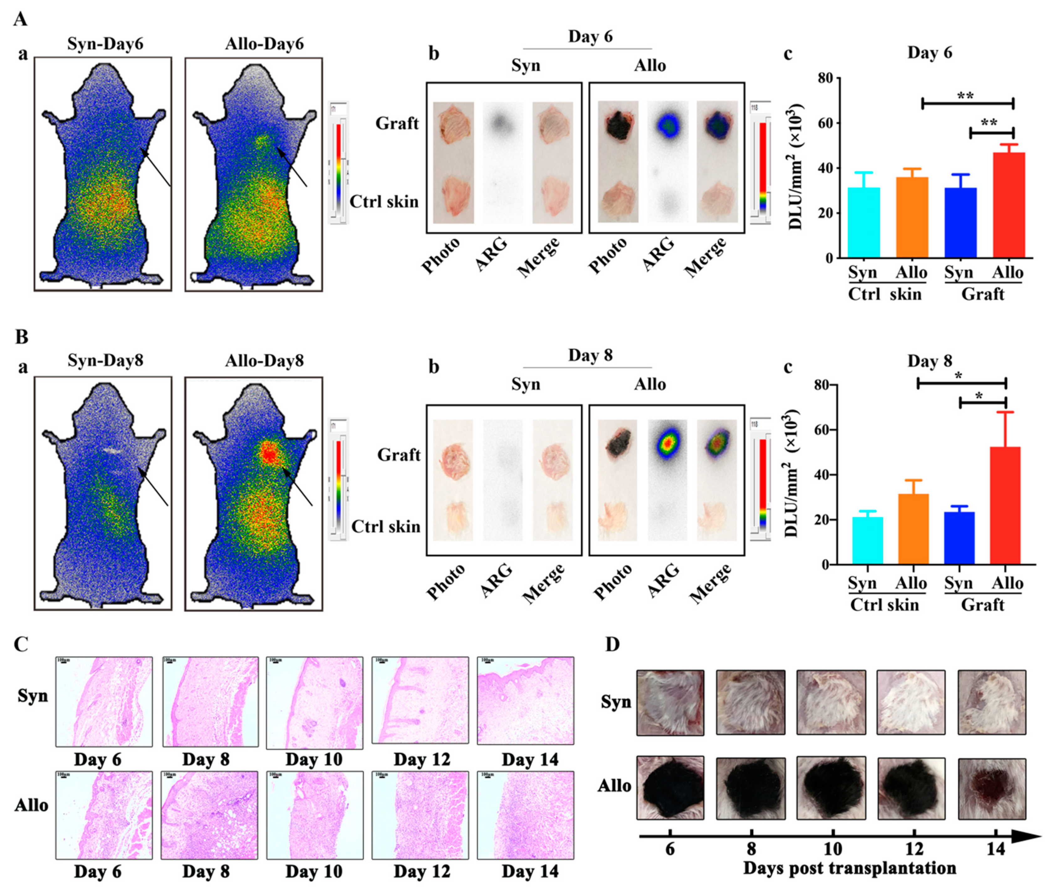 Ijms 21 01315 g005 Ijms 21 01315 g005