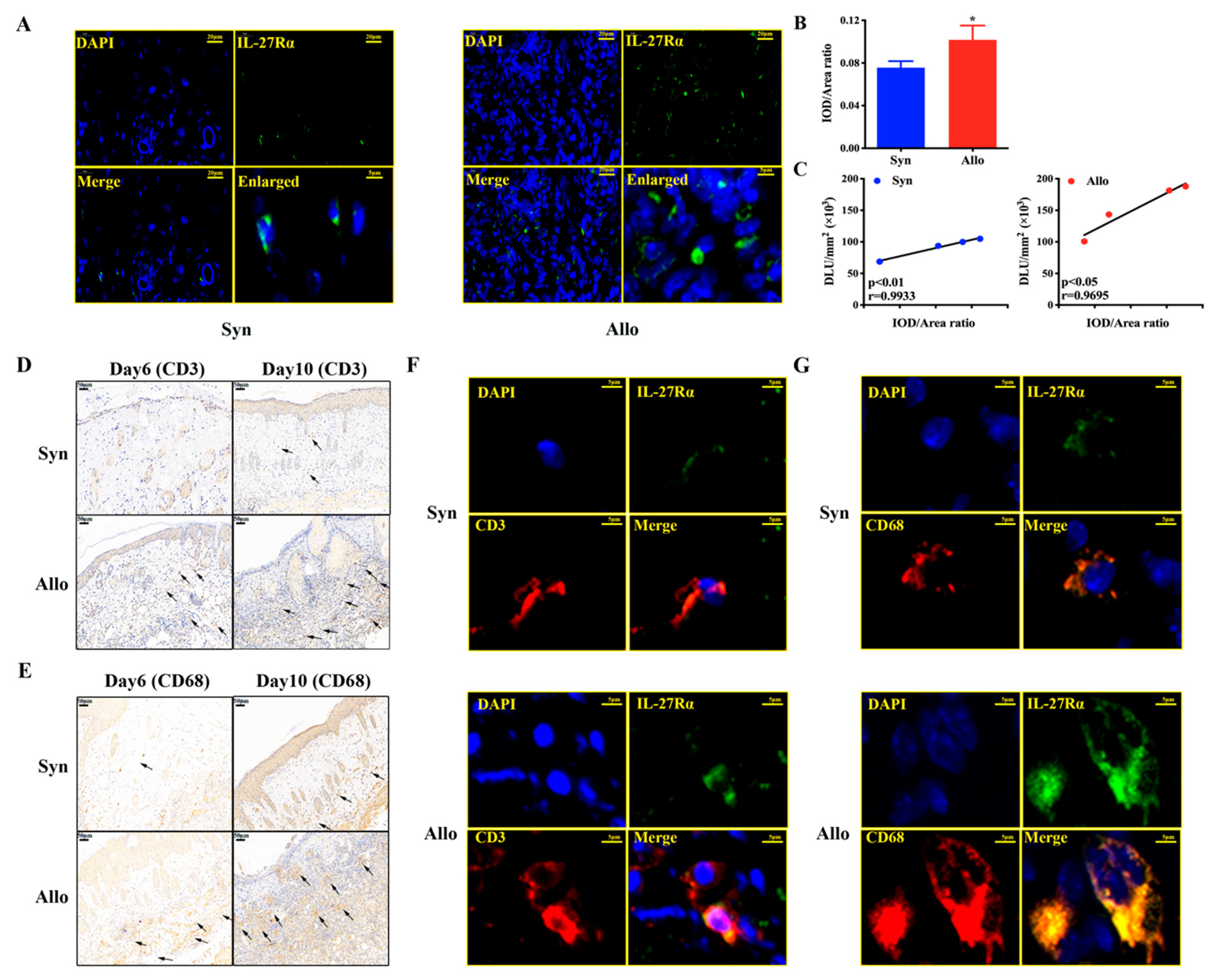 Ijms 21 01315 g007 Ijms 21 01315 g007