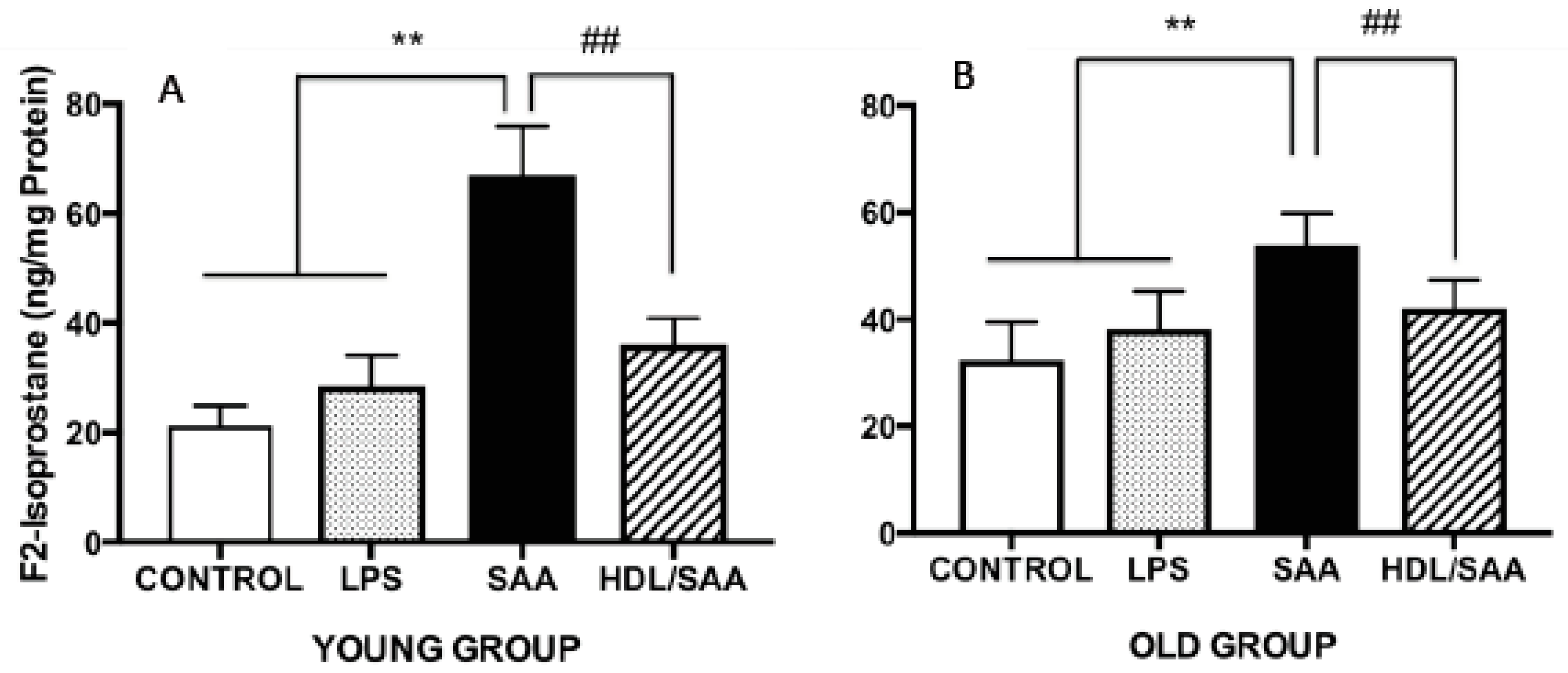 Ijms 21 01316 g004 Ijms 21 01316 g004