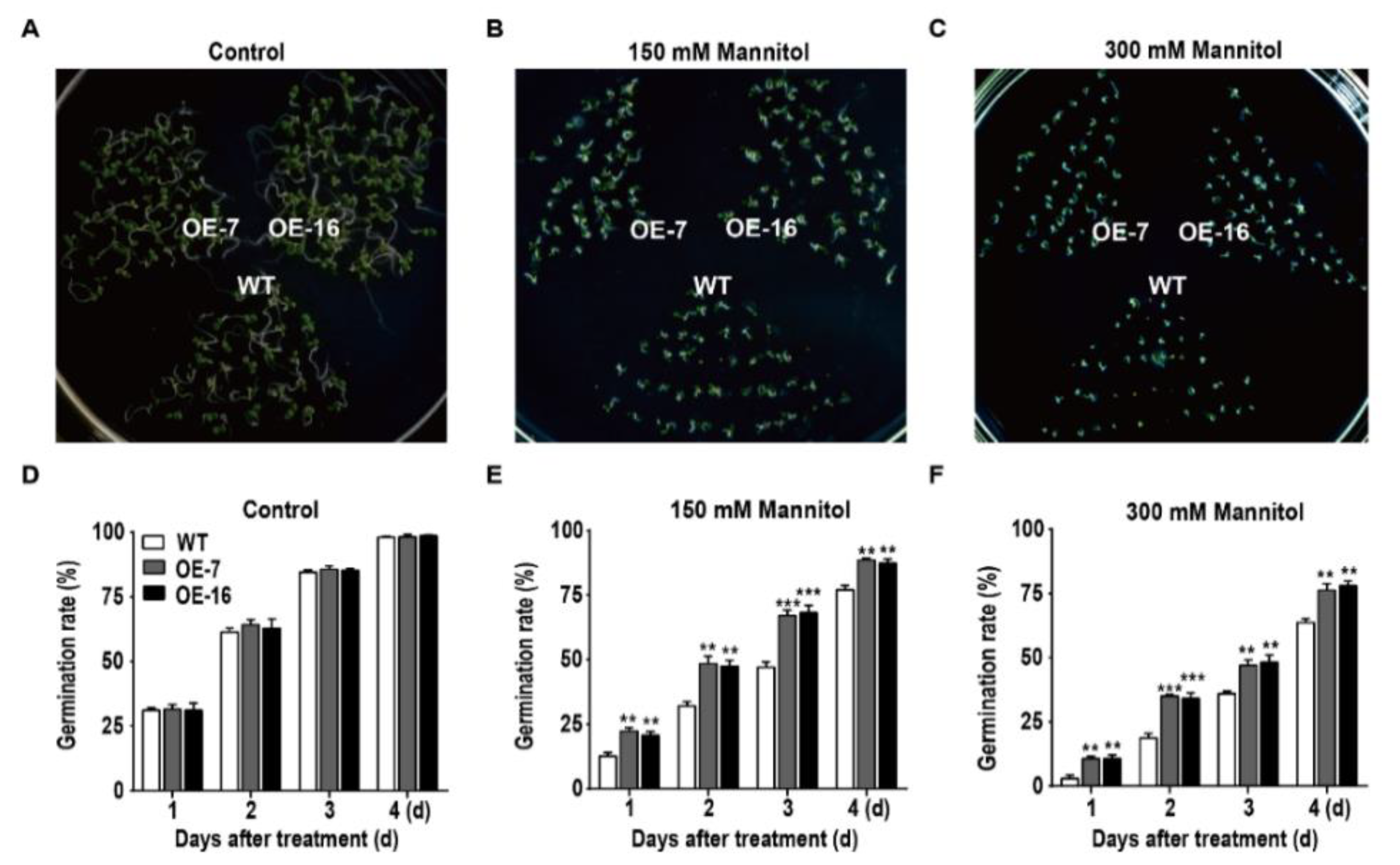 Ijms 21 01321 g006 Ijms 21 01321 g006