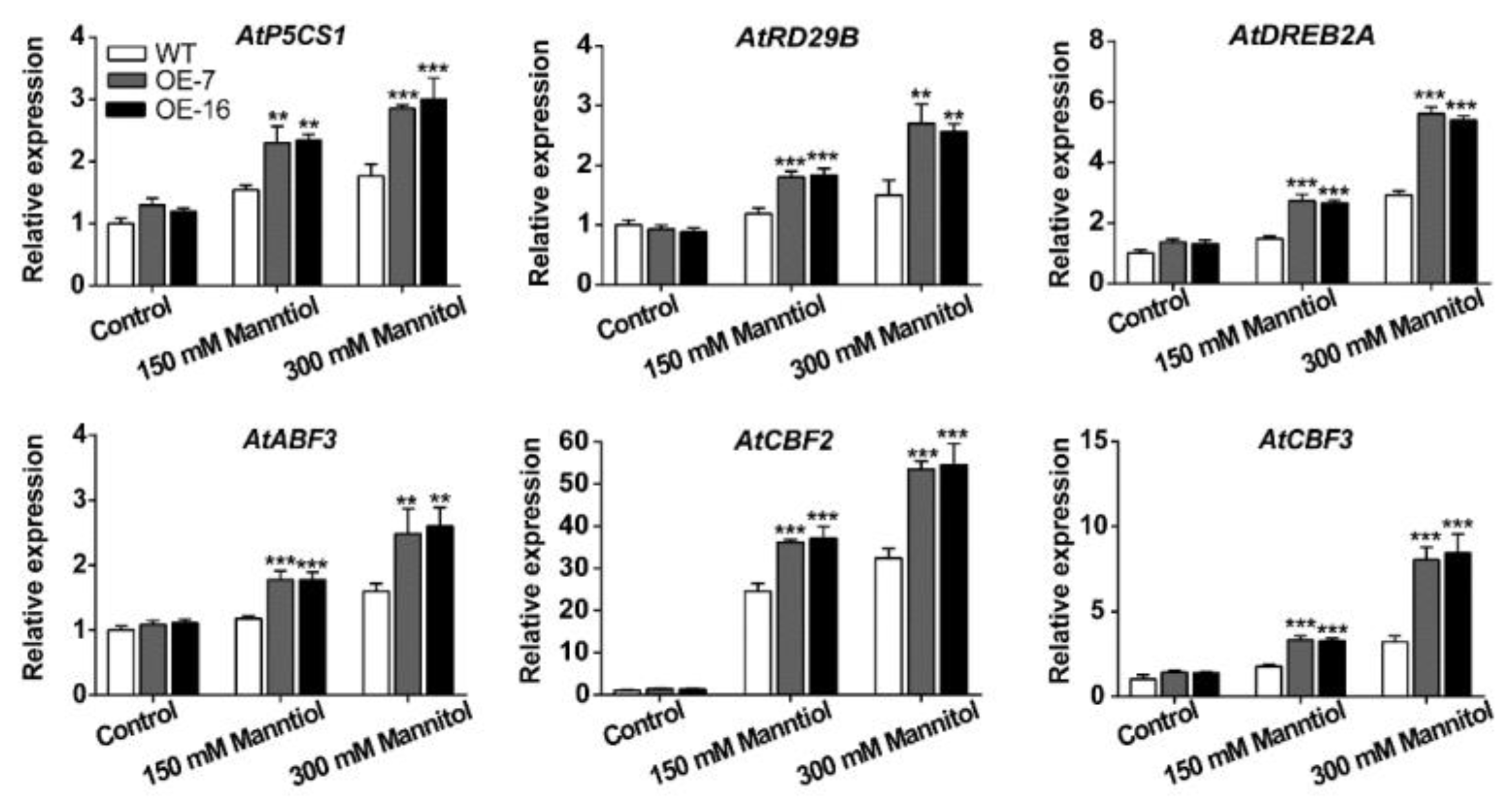 Ijms 21 01321 g008 Ijms 21 01321 g008