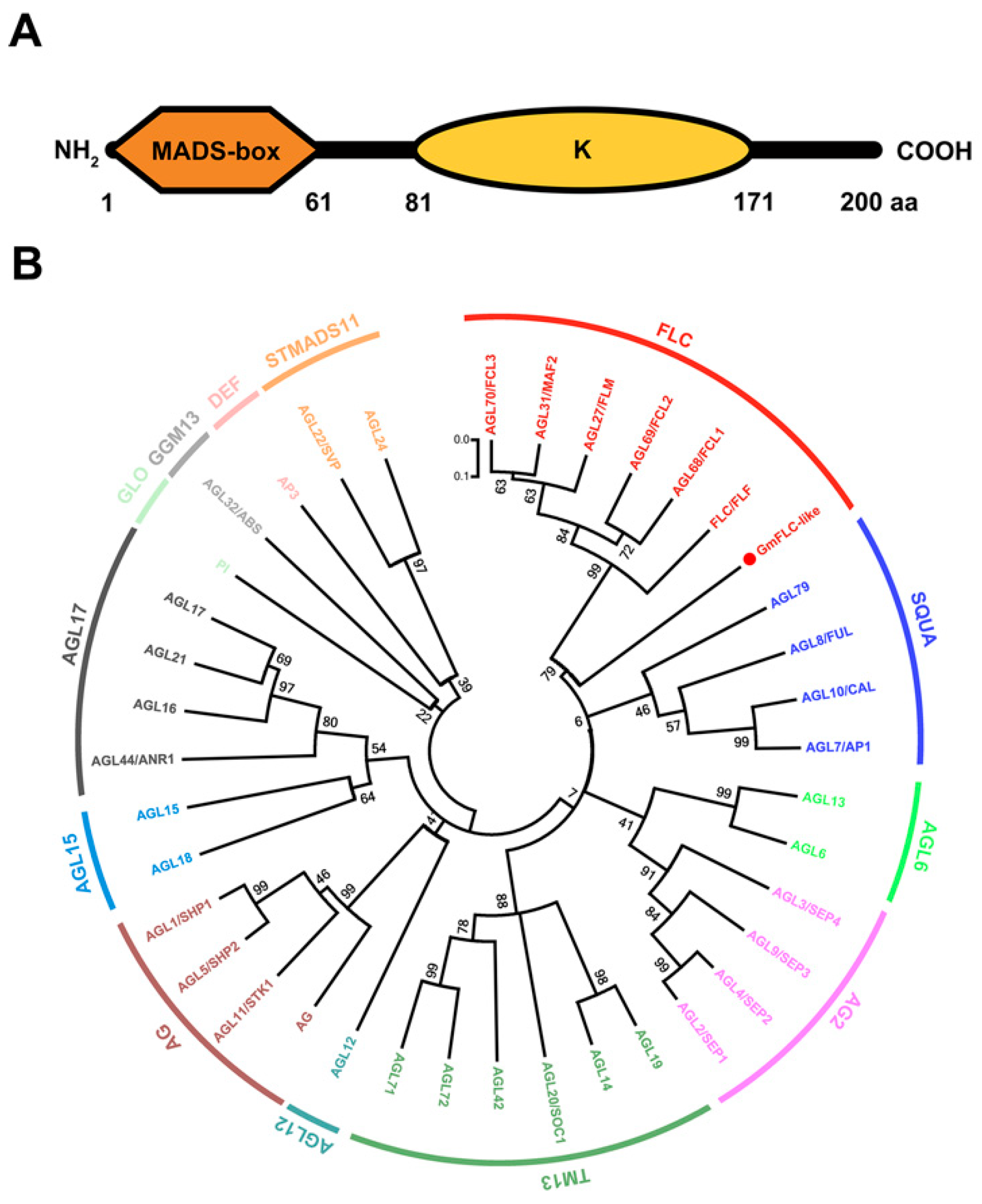 Ijms 21 01322 g001 Ijms 21 01322 g001