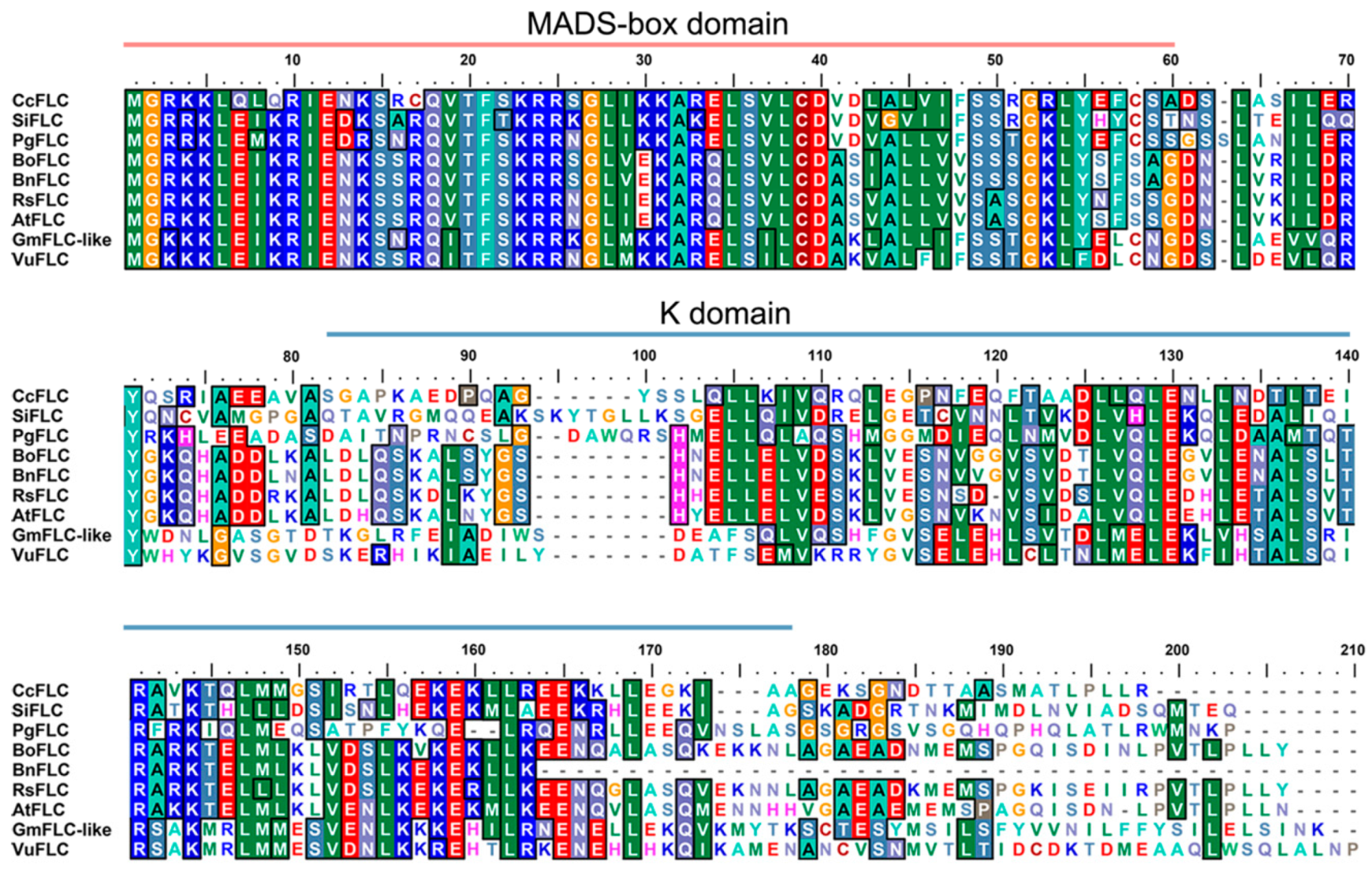 Ijms 21 01322 g002 Ijms 21 01322 g002