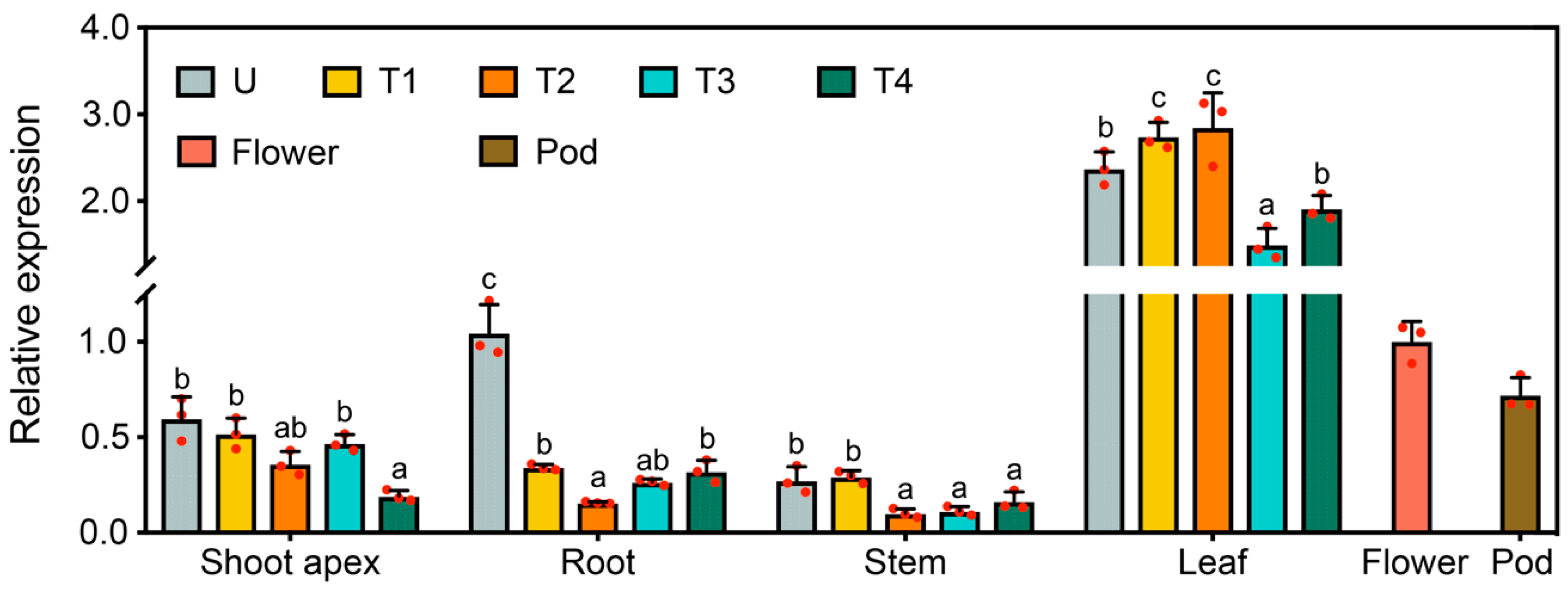 Ijms 21 01322 g003 Ijms 21 01322 g003