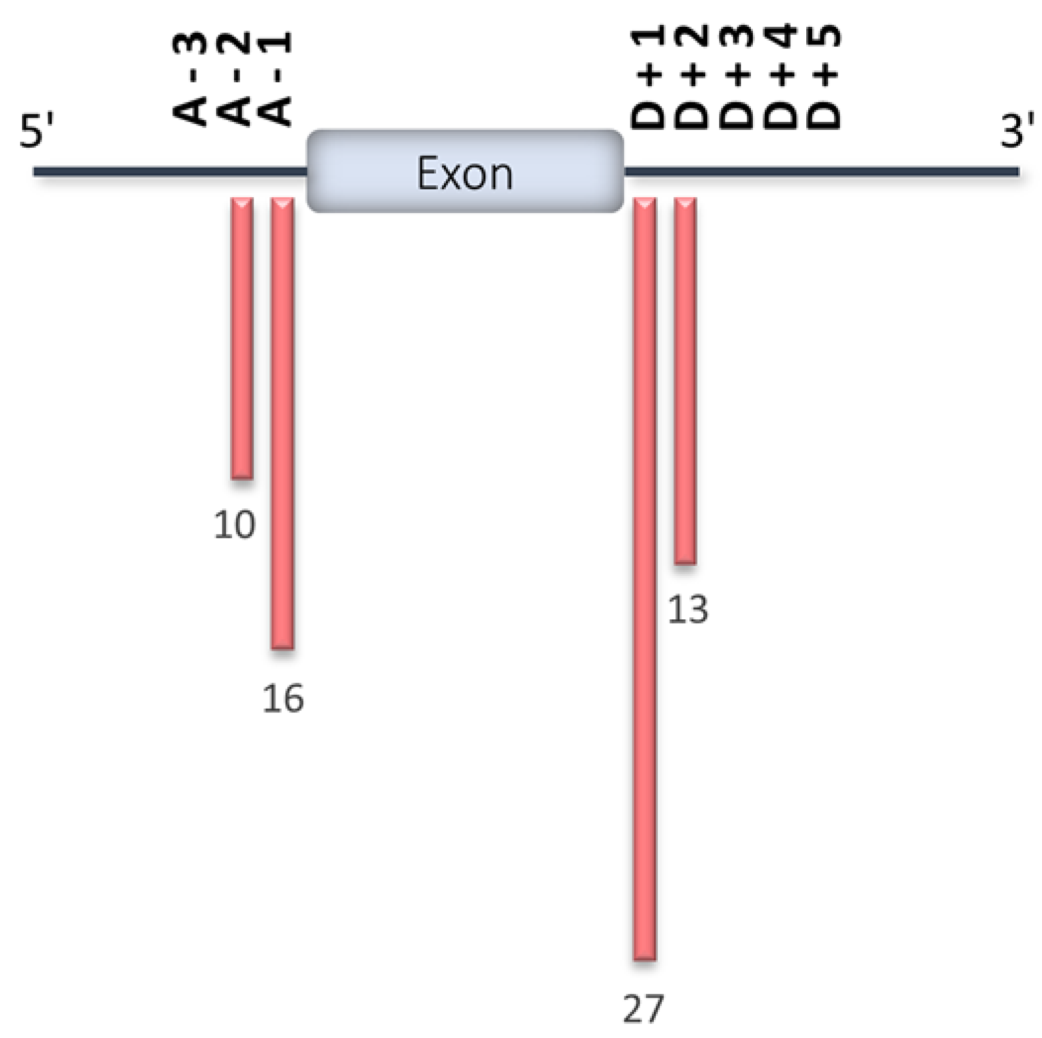 Ijms 21 01329 g006 Ijms 21 01329 g006