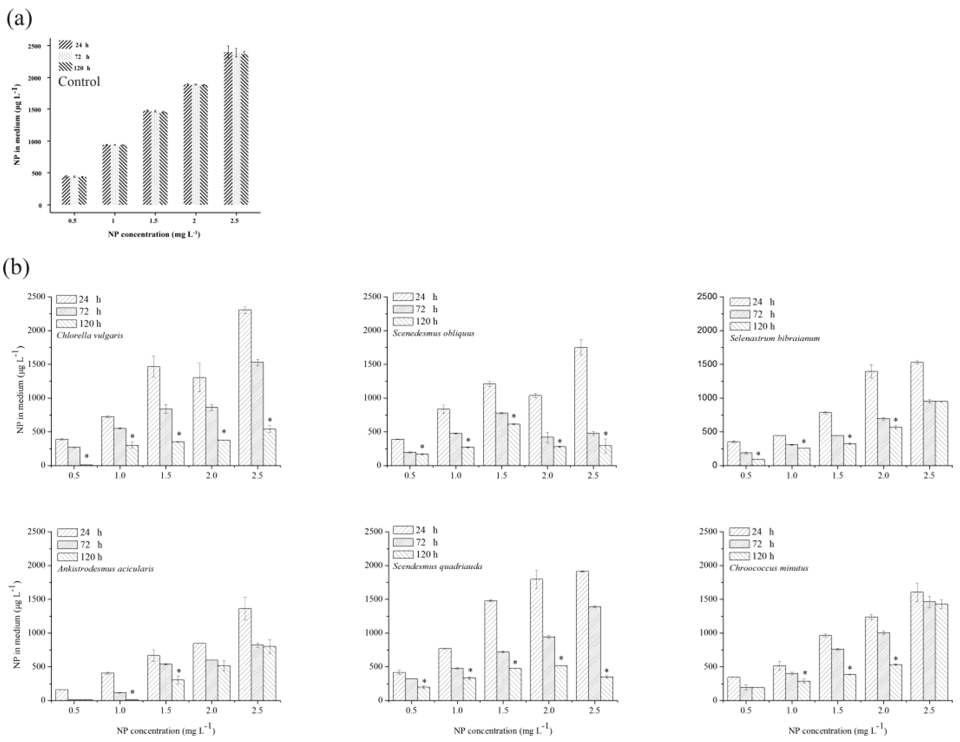 Ijms 21 01338 g004 Ijms 21 01338 g004