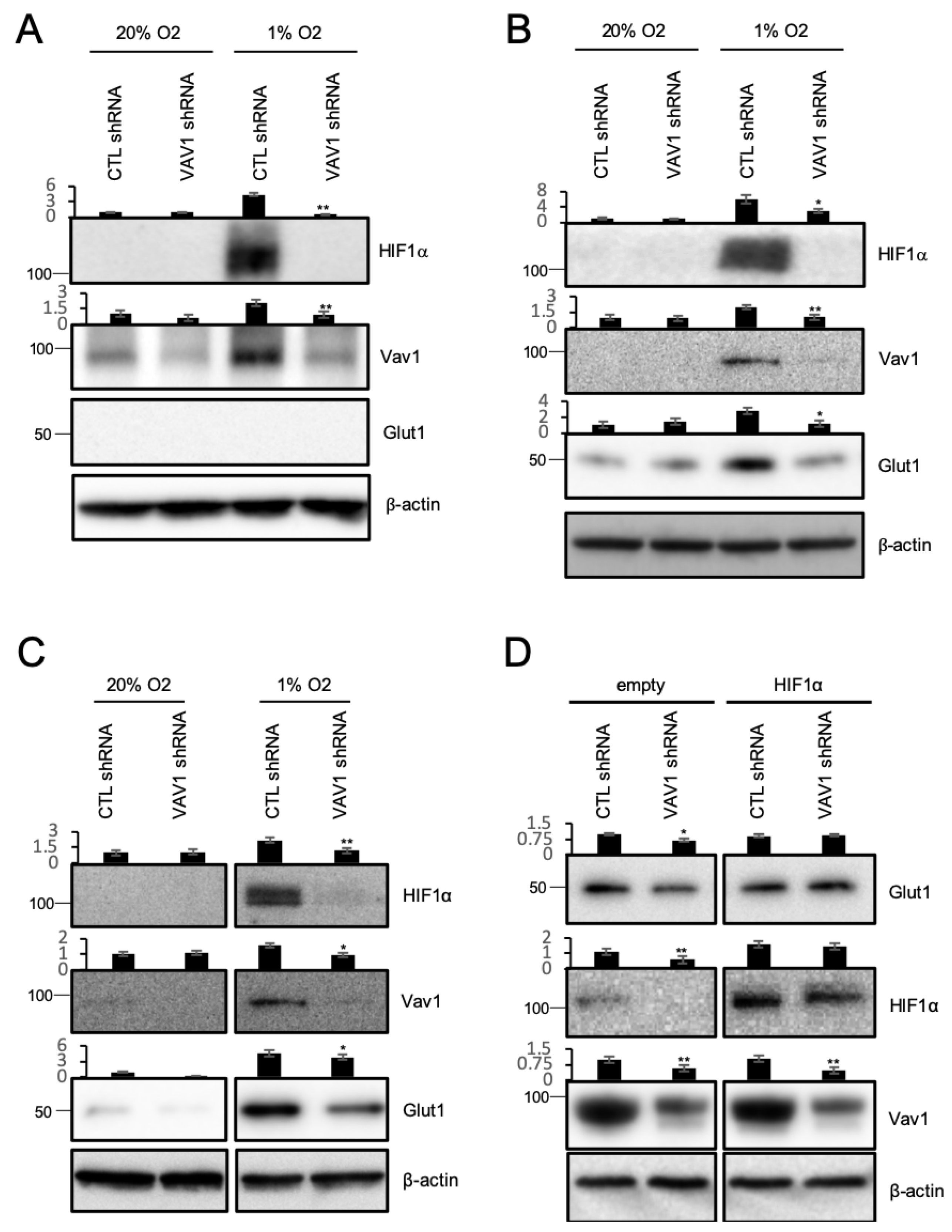 Ijms 21 01341 g001 Ijms 21 01341 g001