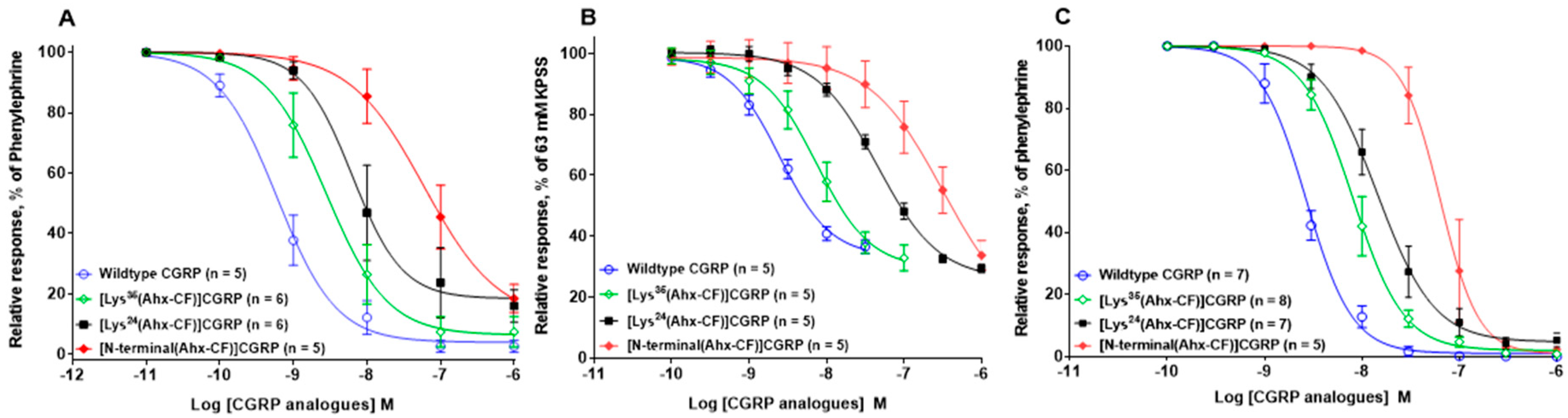 Ijms 21 01343 g003 Ijms 21 01343 g003