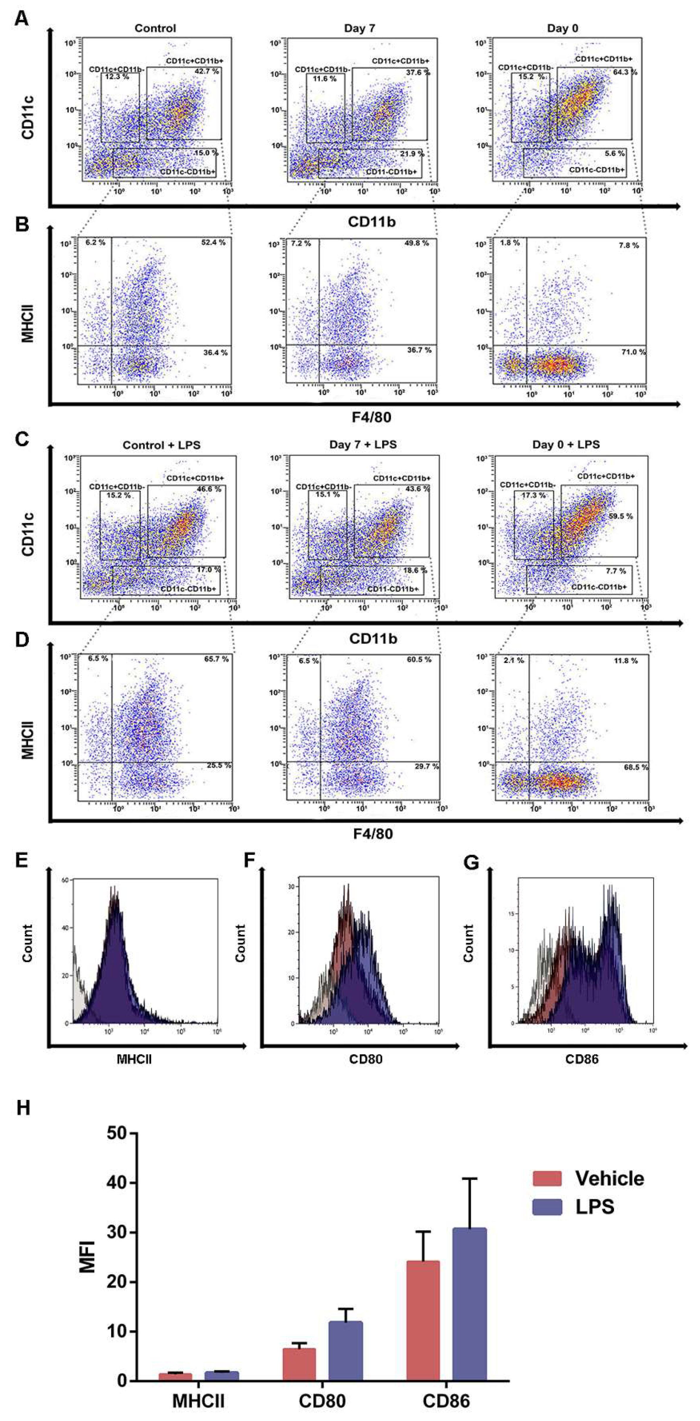 Ijms 21 01353 g004 Ijms 21 01353 g004