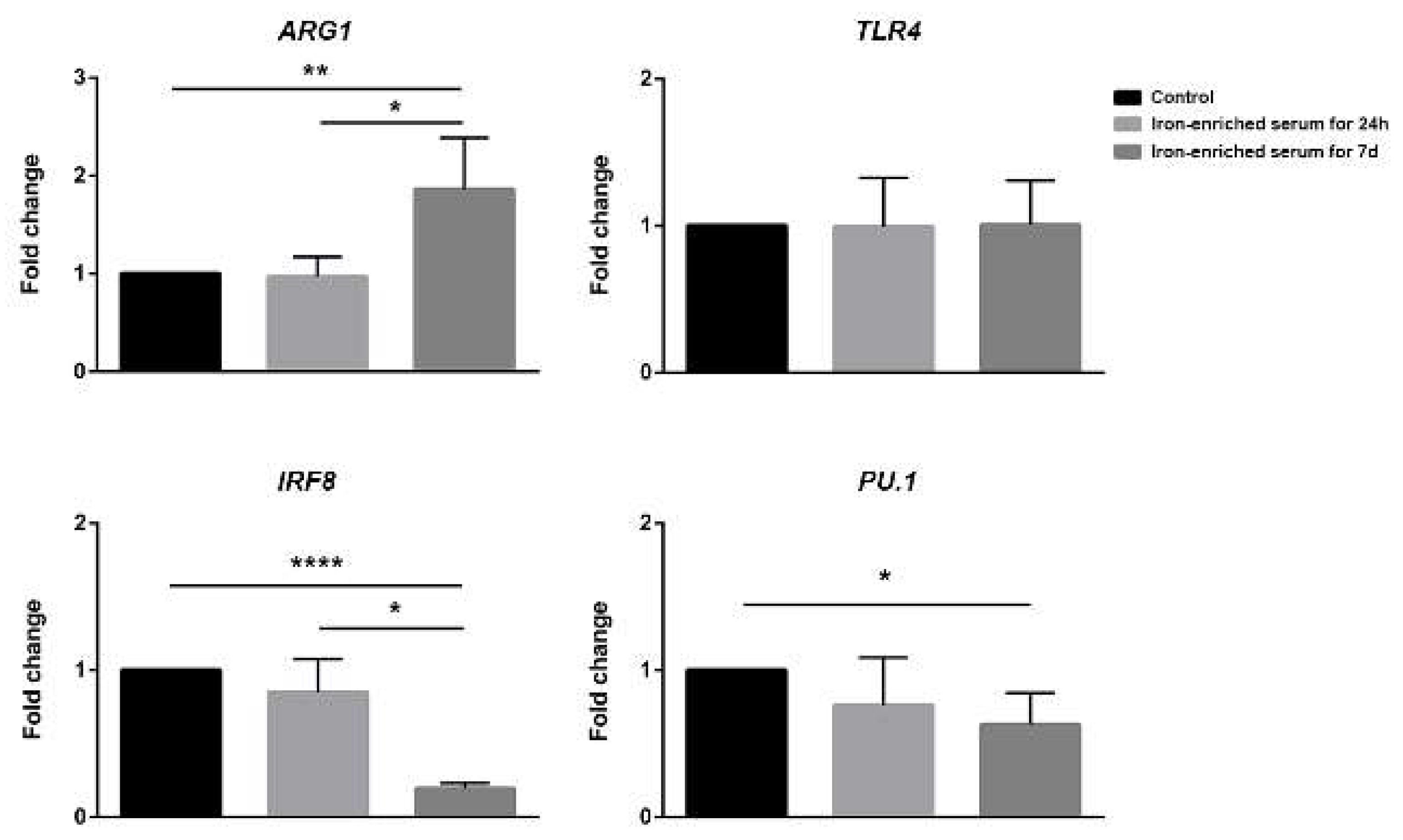 Ijms 21 01353 g006 Ijms 21 01353 g006