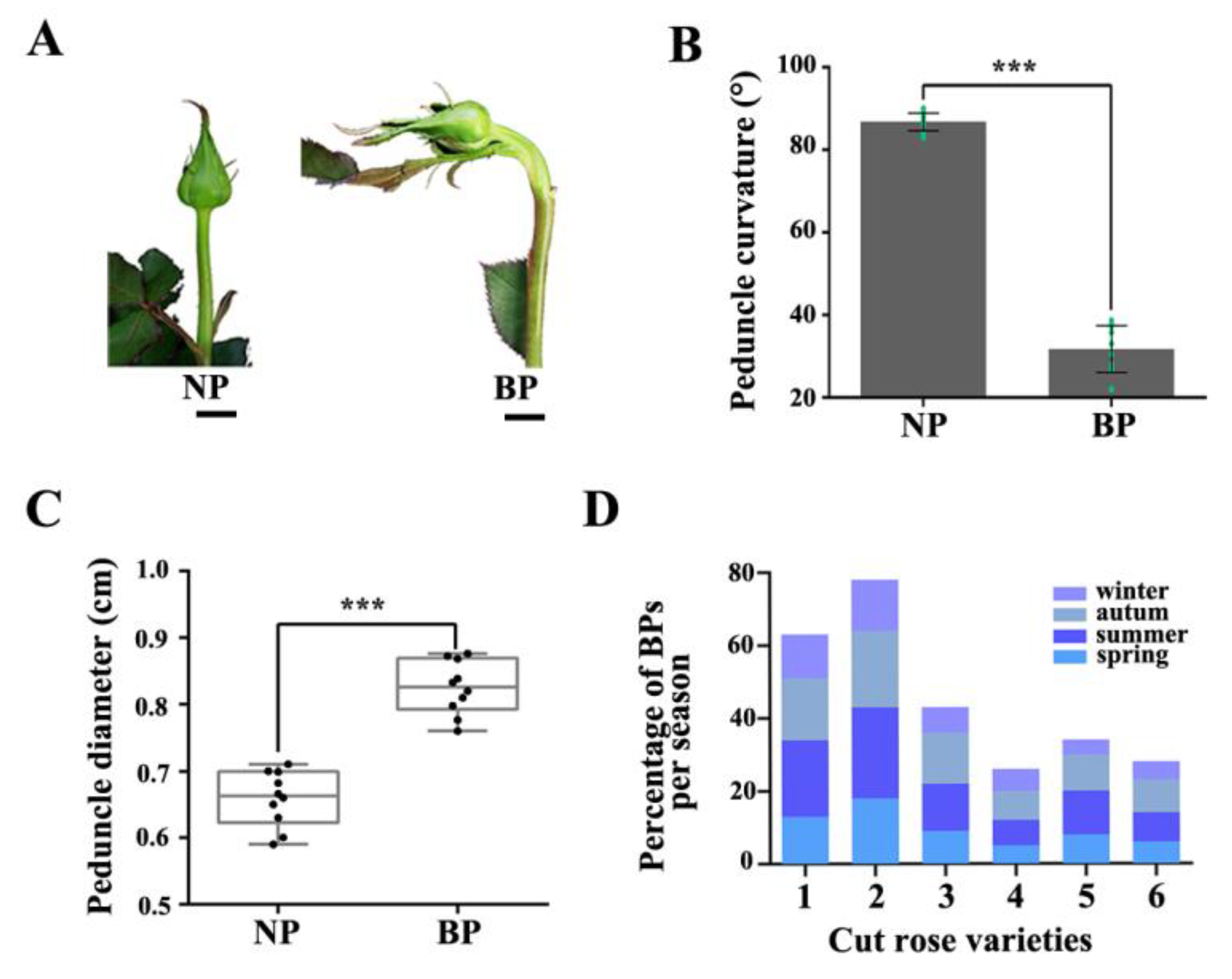 Ijms 21 01360 g001 Ijms 21 01360 g001