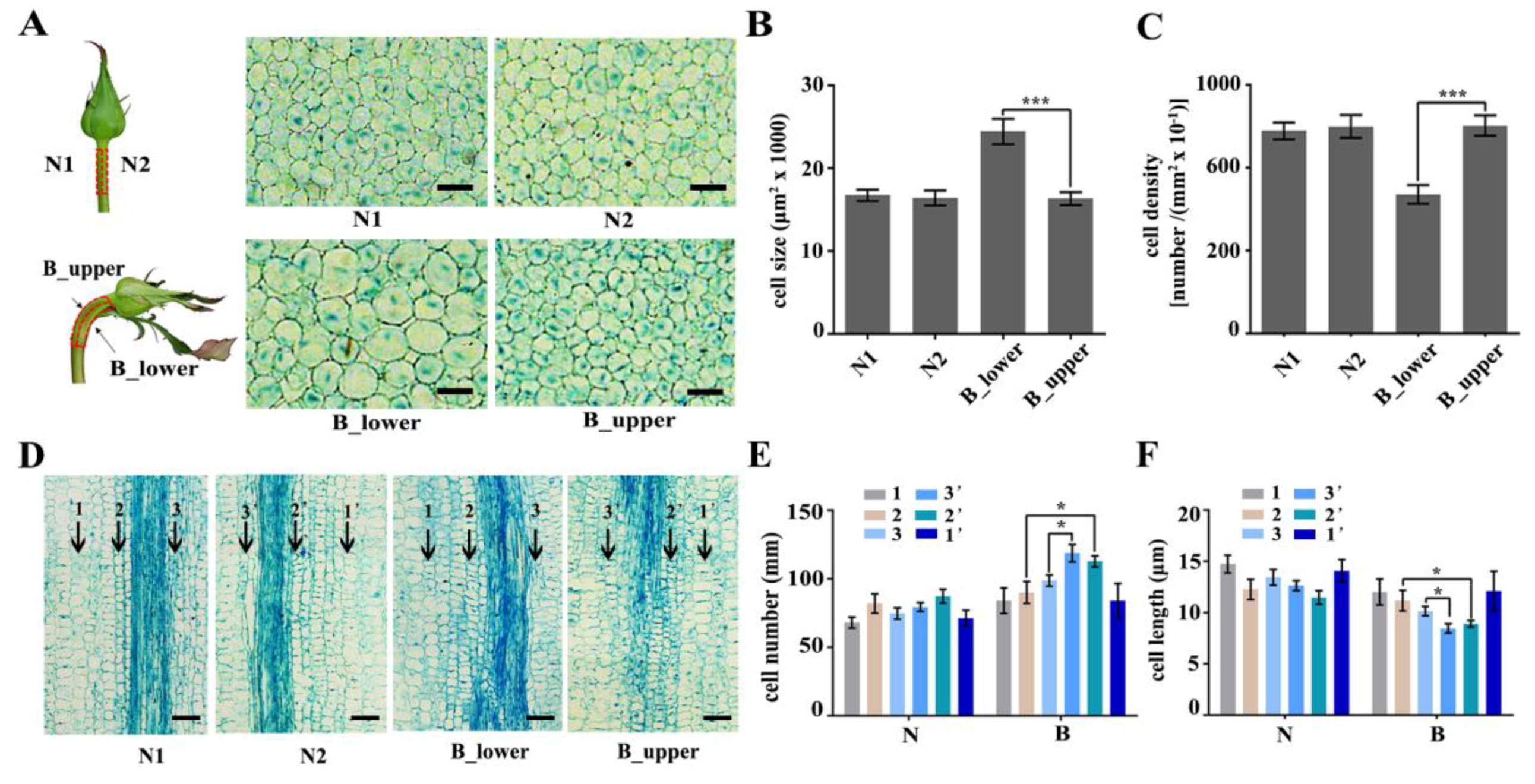 Ijms 21 01360 g002 Ijms 21 01360 g002
