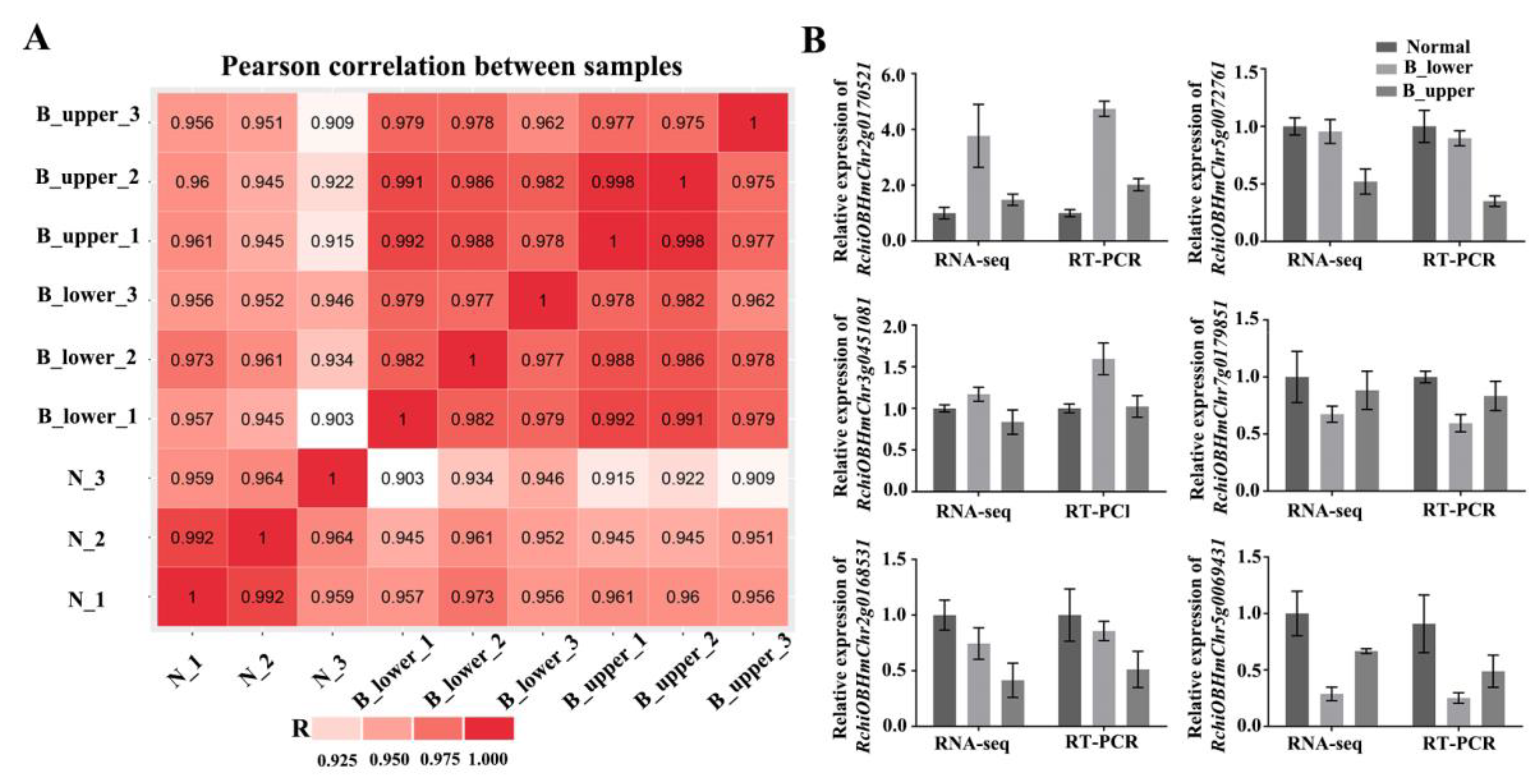 Ijms 21 01360 g003 Ijms 21 01360 g003