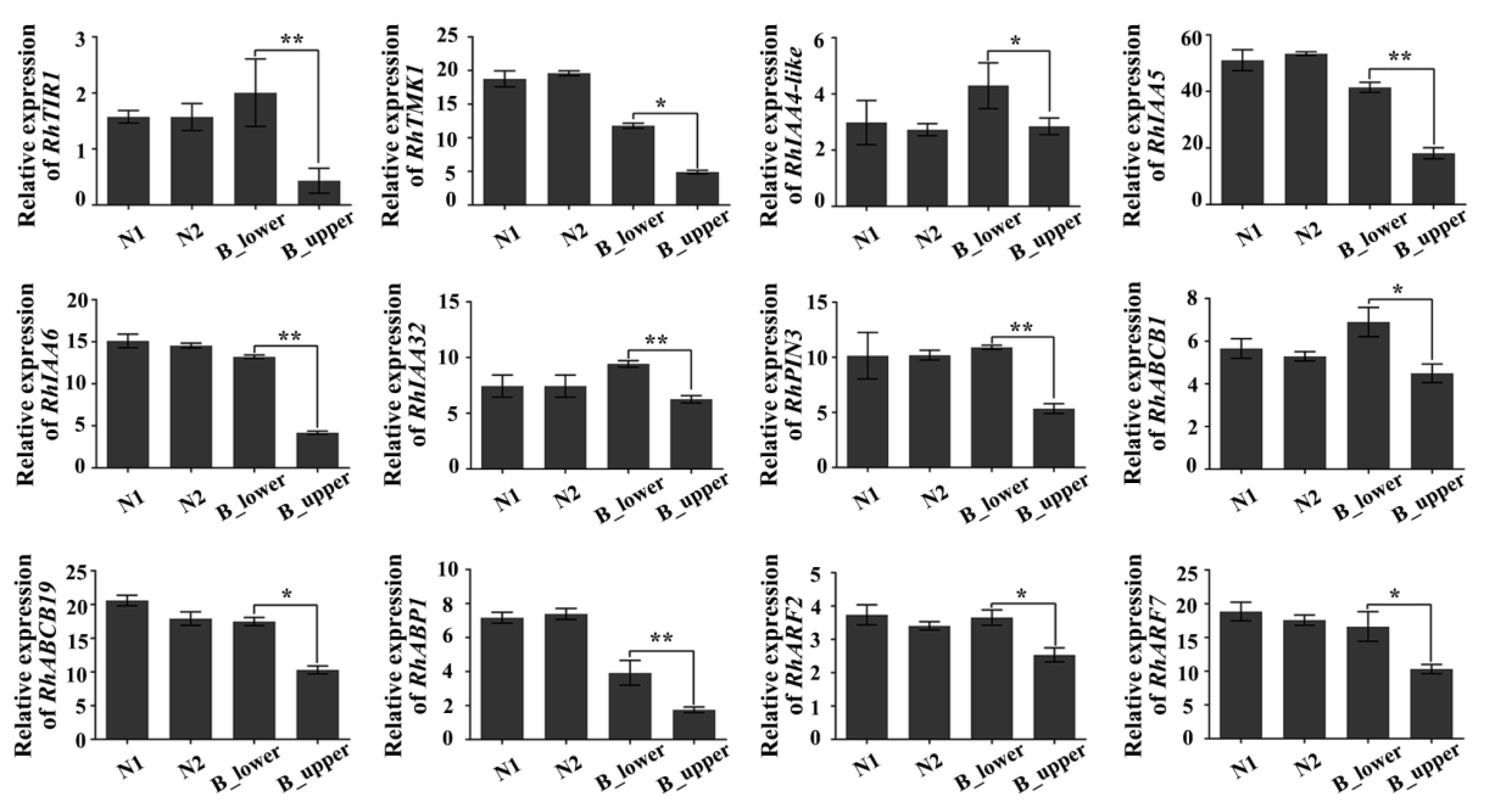 Ijms 21 01360 g005 Ijms 21 01360 g005