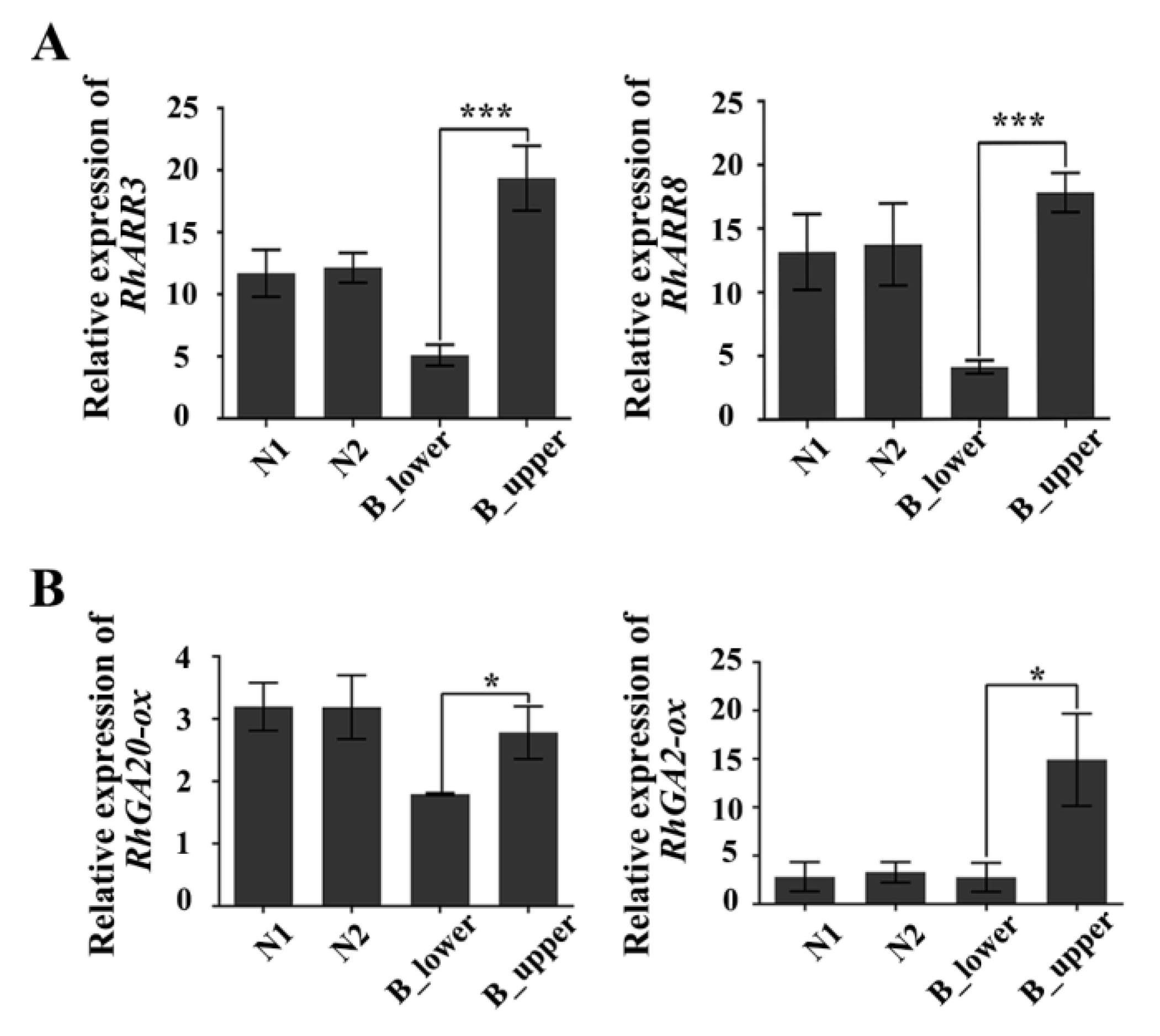 Ijms 21 01360 g006 Ijms 21 01360 g006