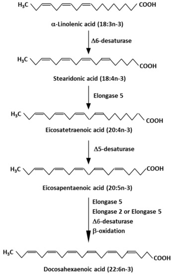 IJMS Free Full-Text | Marine Omega-3 (N-3) Acids for Health: An Update for 2020 | HTML