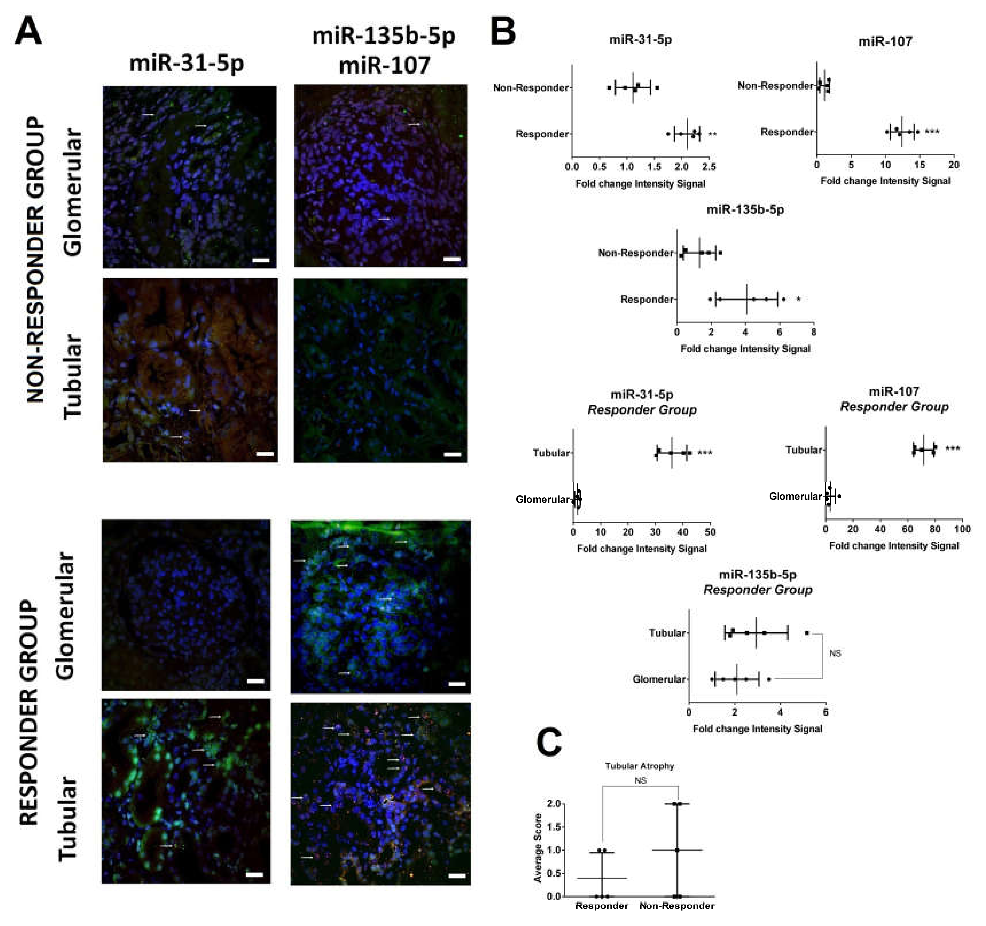 Ijms 21 01372 g003 Ijms 21 01372 g003