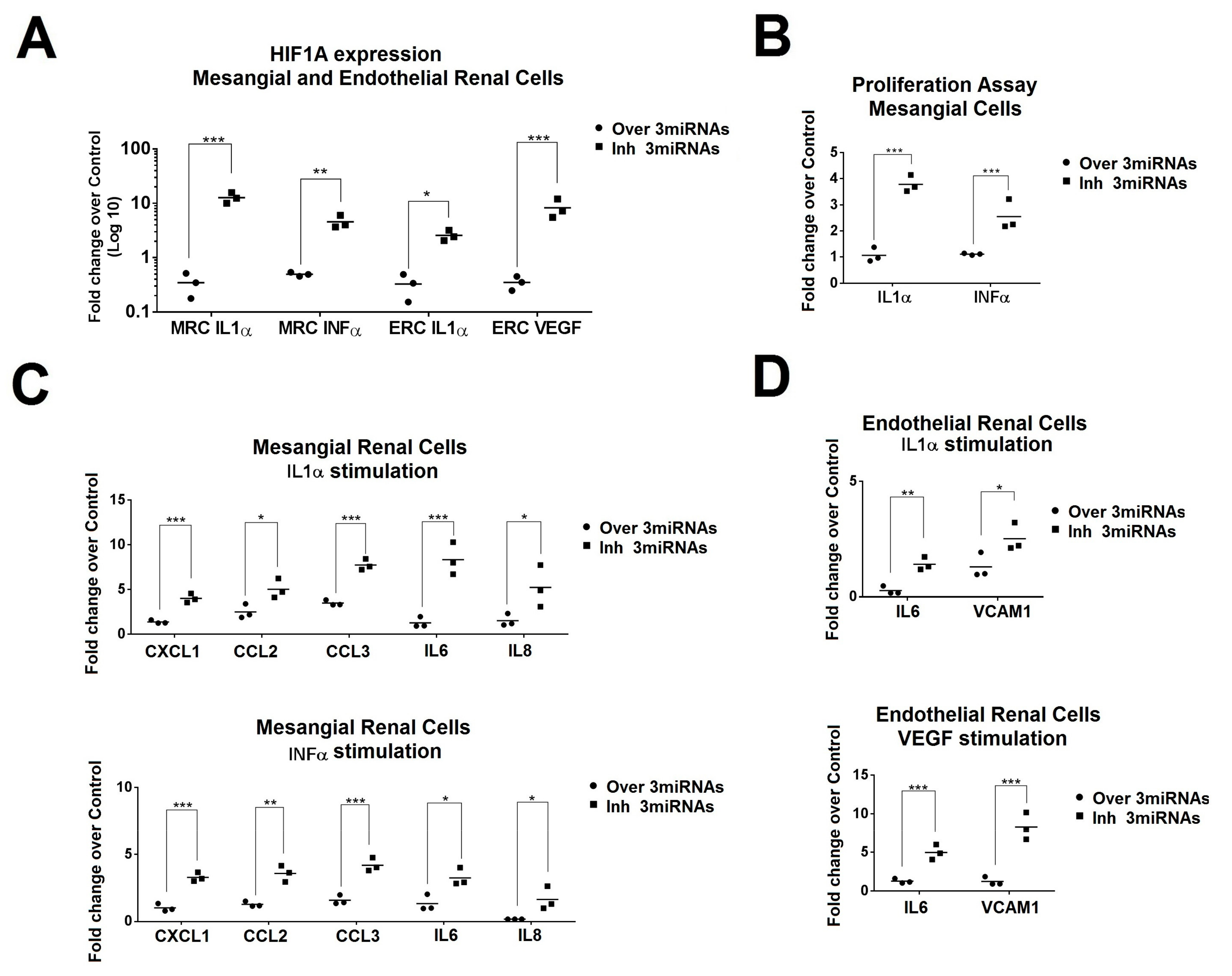 Ijms 21 01372 g006 Ijms 21 01372 g006