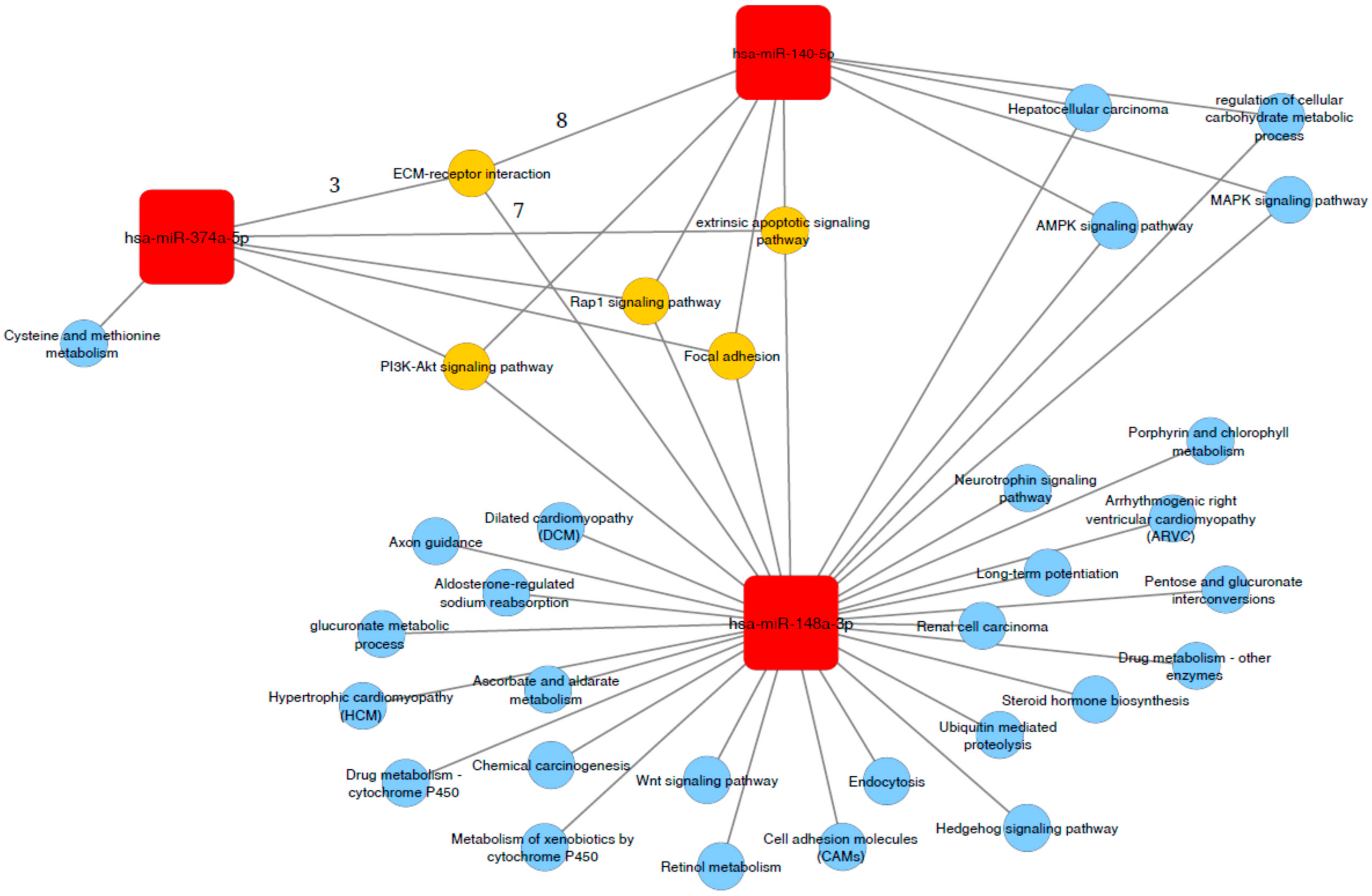 Ijms 21 01386 g003 Ijms 21 01386 g003