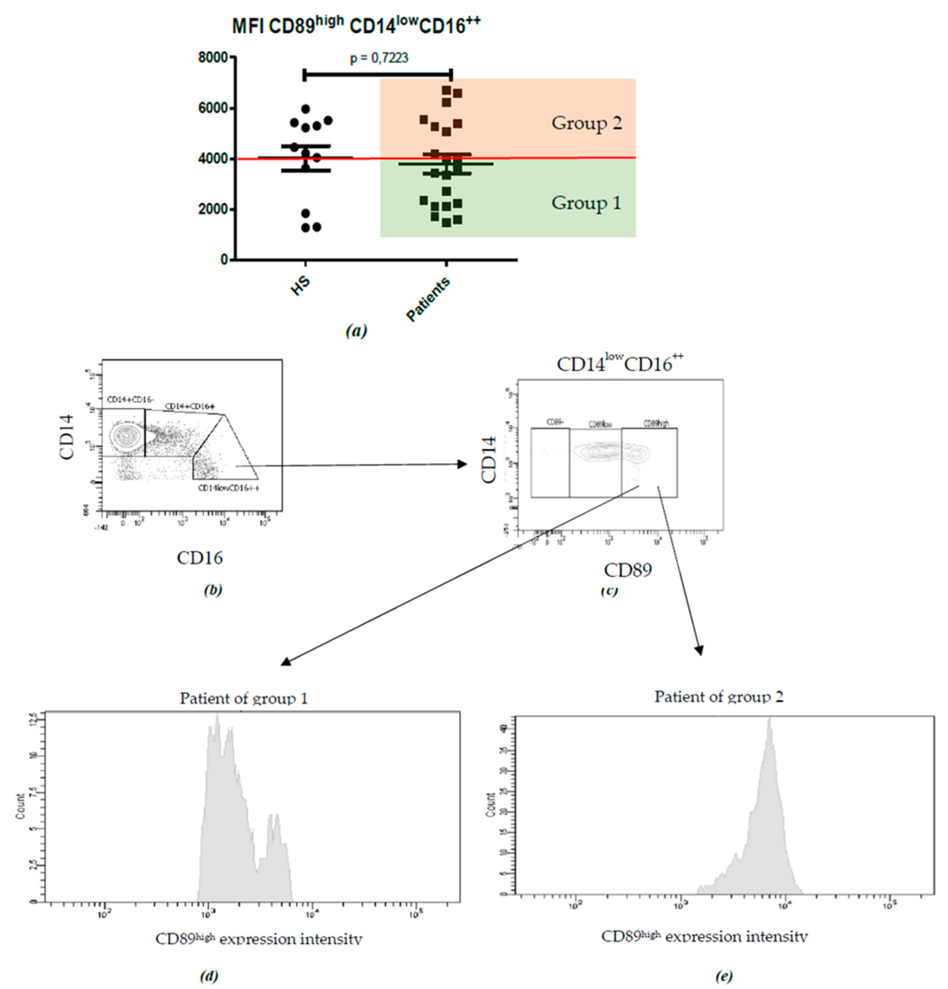 Ijms 21 01389 g007 Ijms 21 01389 g007