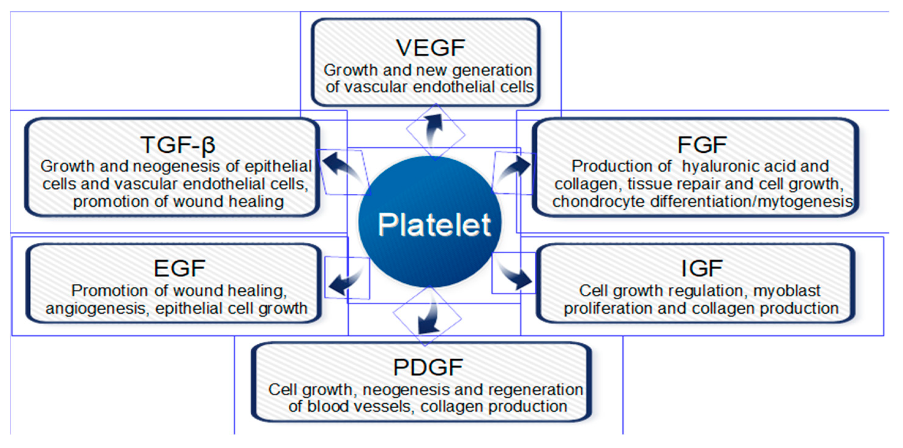 Ijms 21 01399 sch001