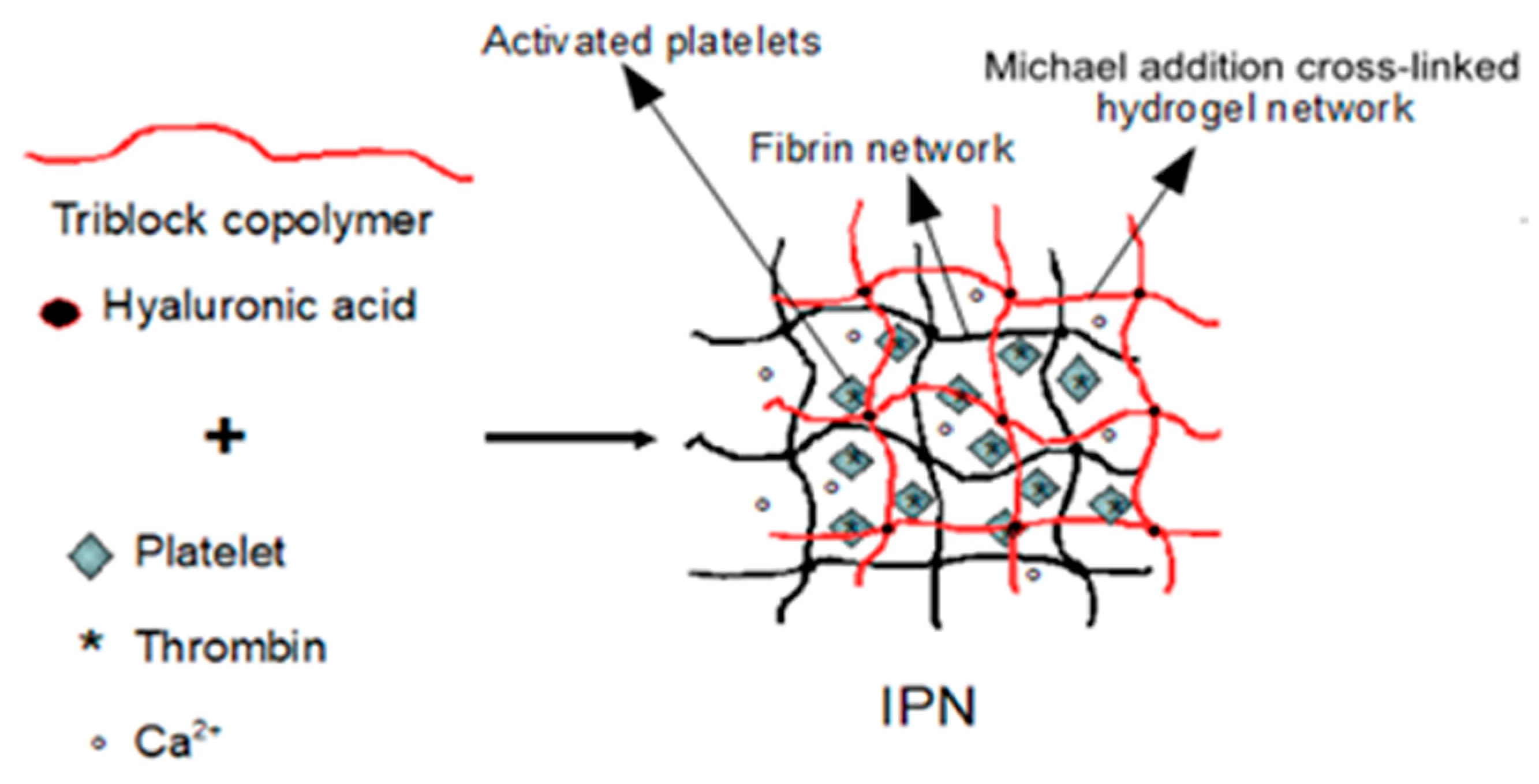 Ijms 21 01399 sch002