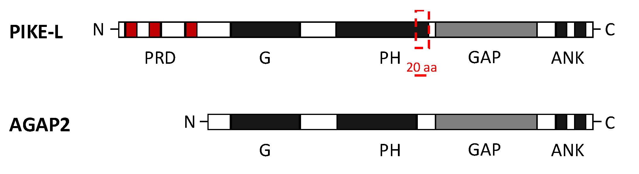 Ijms 21 01400 g002 Ijms 21 01400 g002