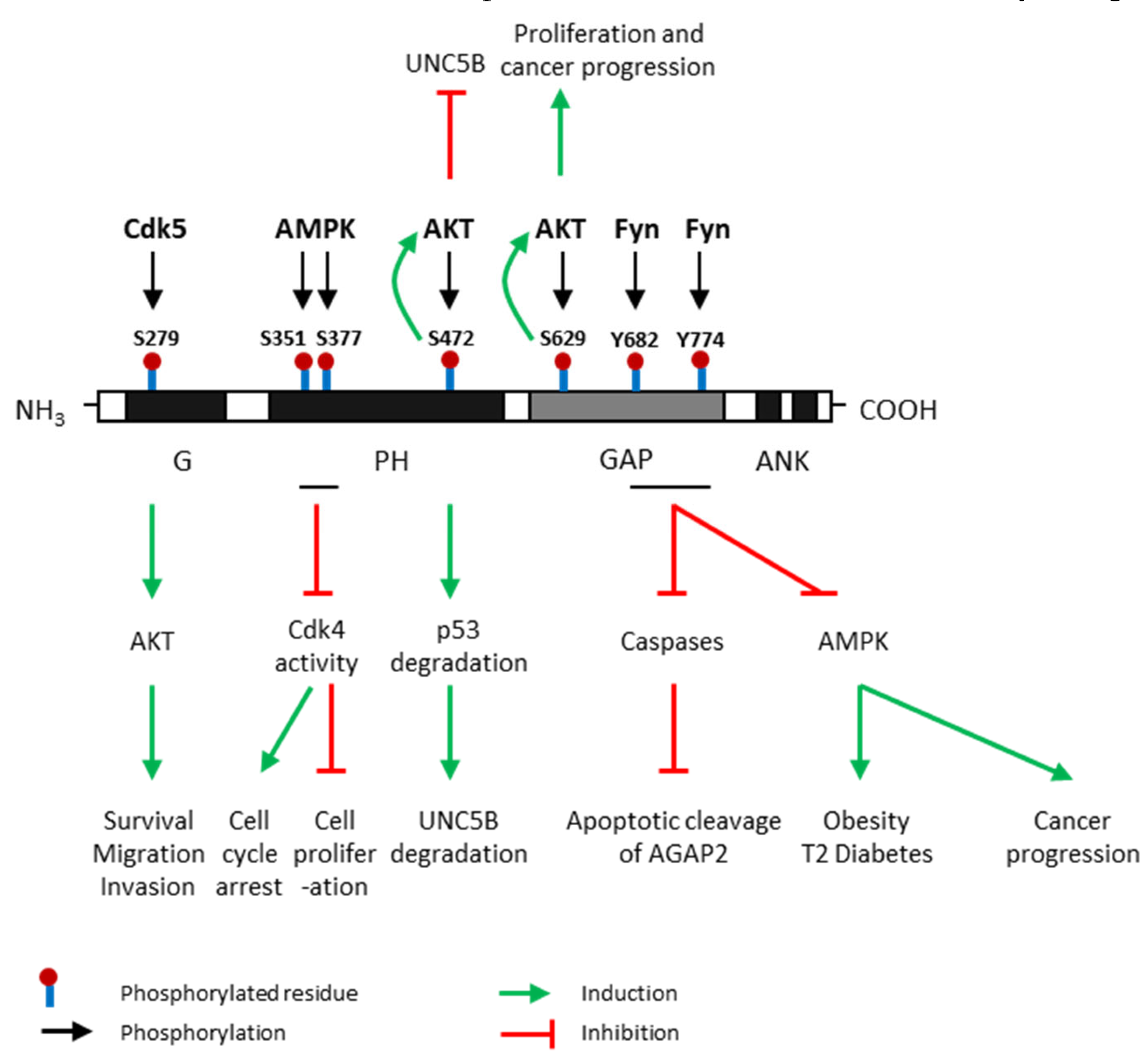 Ijms 21 01400 g003 Ijms 21 01400 g003