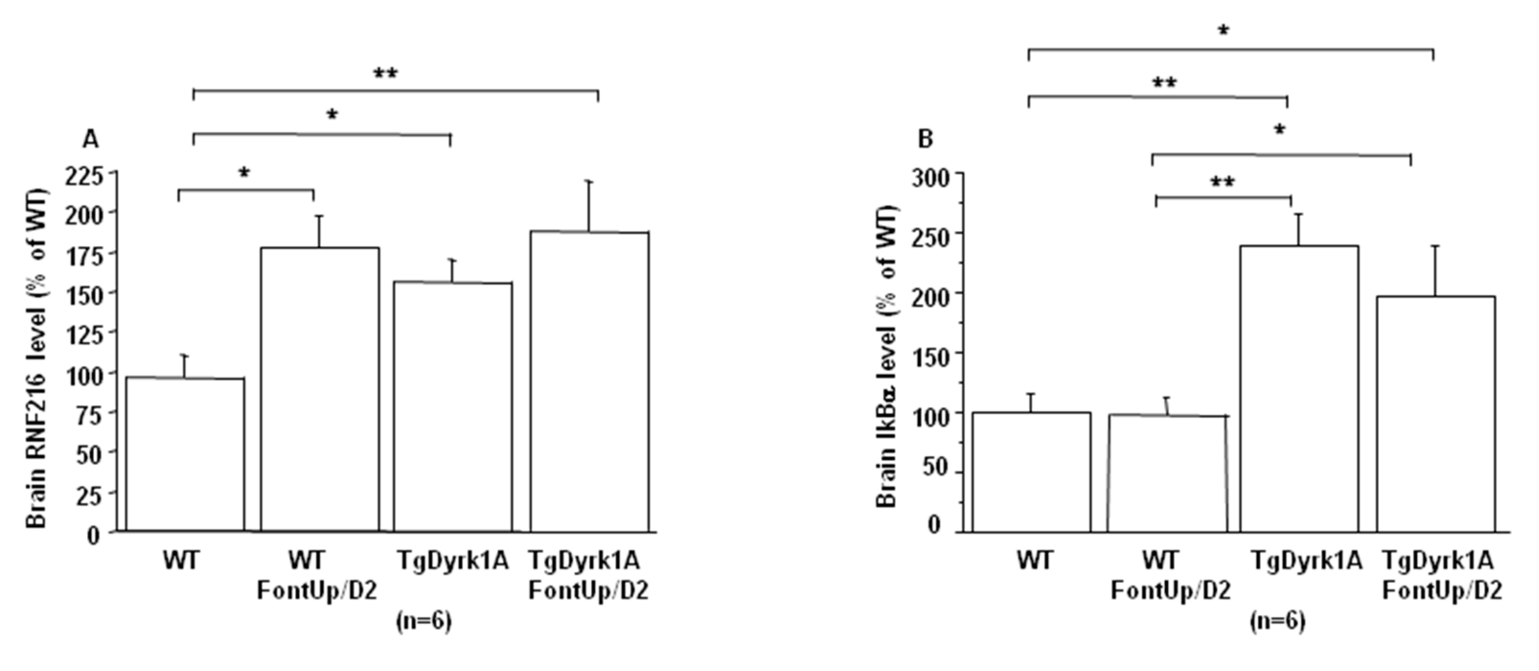 Ijms 21 01404 g007 Ijms 21 01404 g007