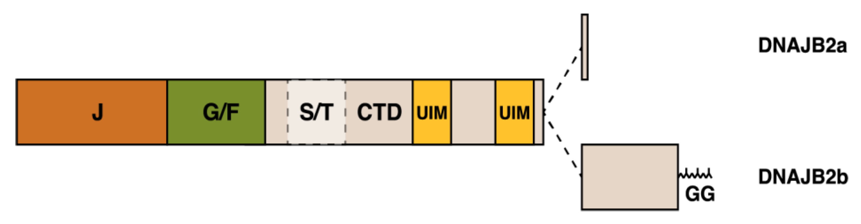 Ijms 21 01409 g005 Ijms 21 01409 g005