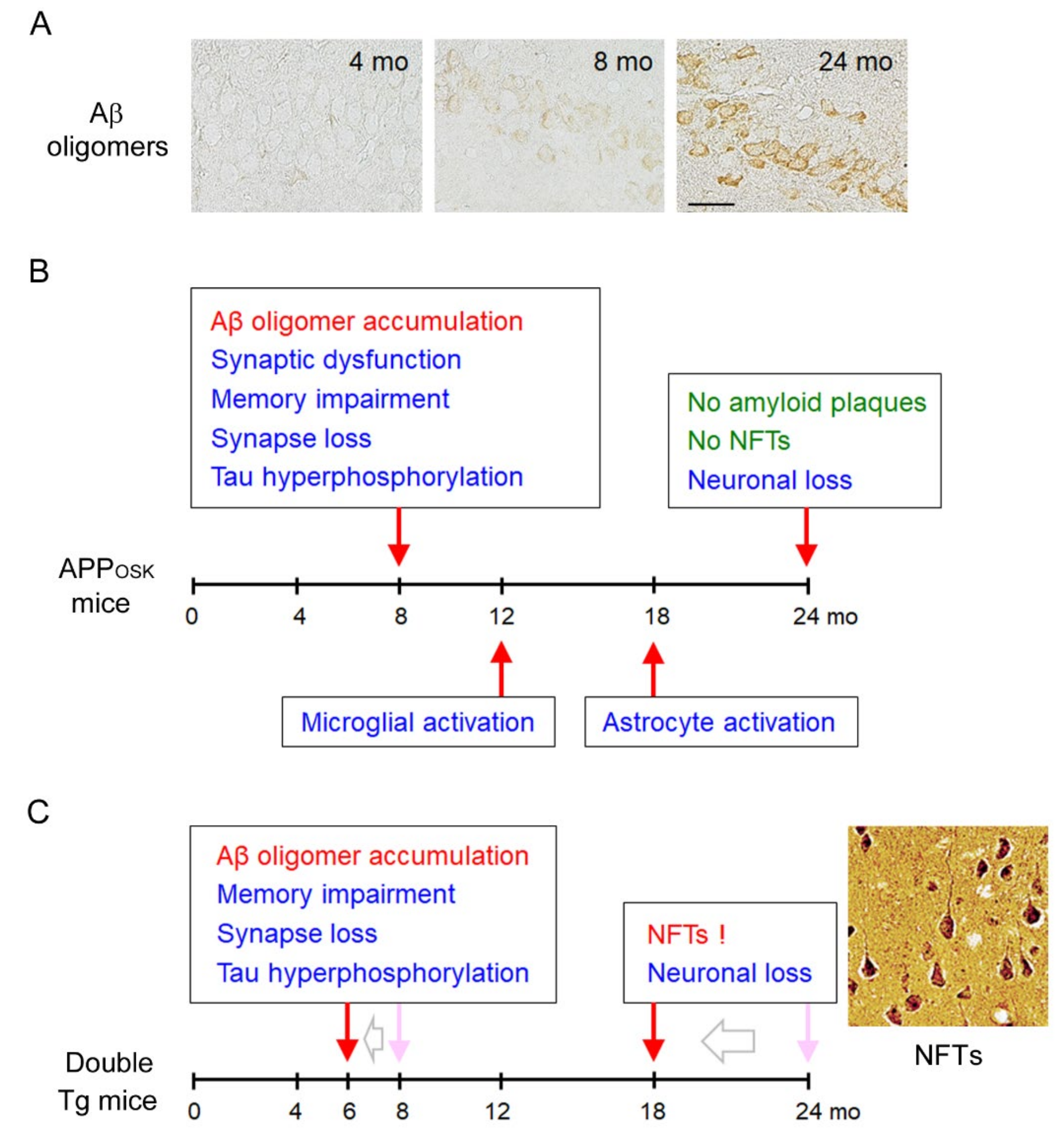 Ijms 21 01413 g003 Ijms 21 01413 g003