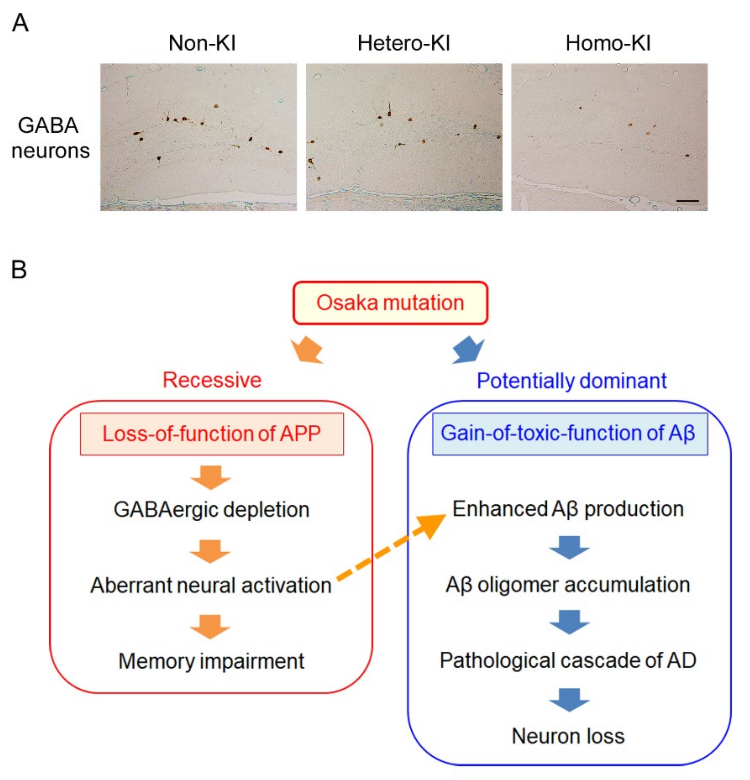 Ijms 21 01413 g005 Ijms 21 01413 g005