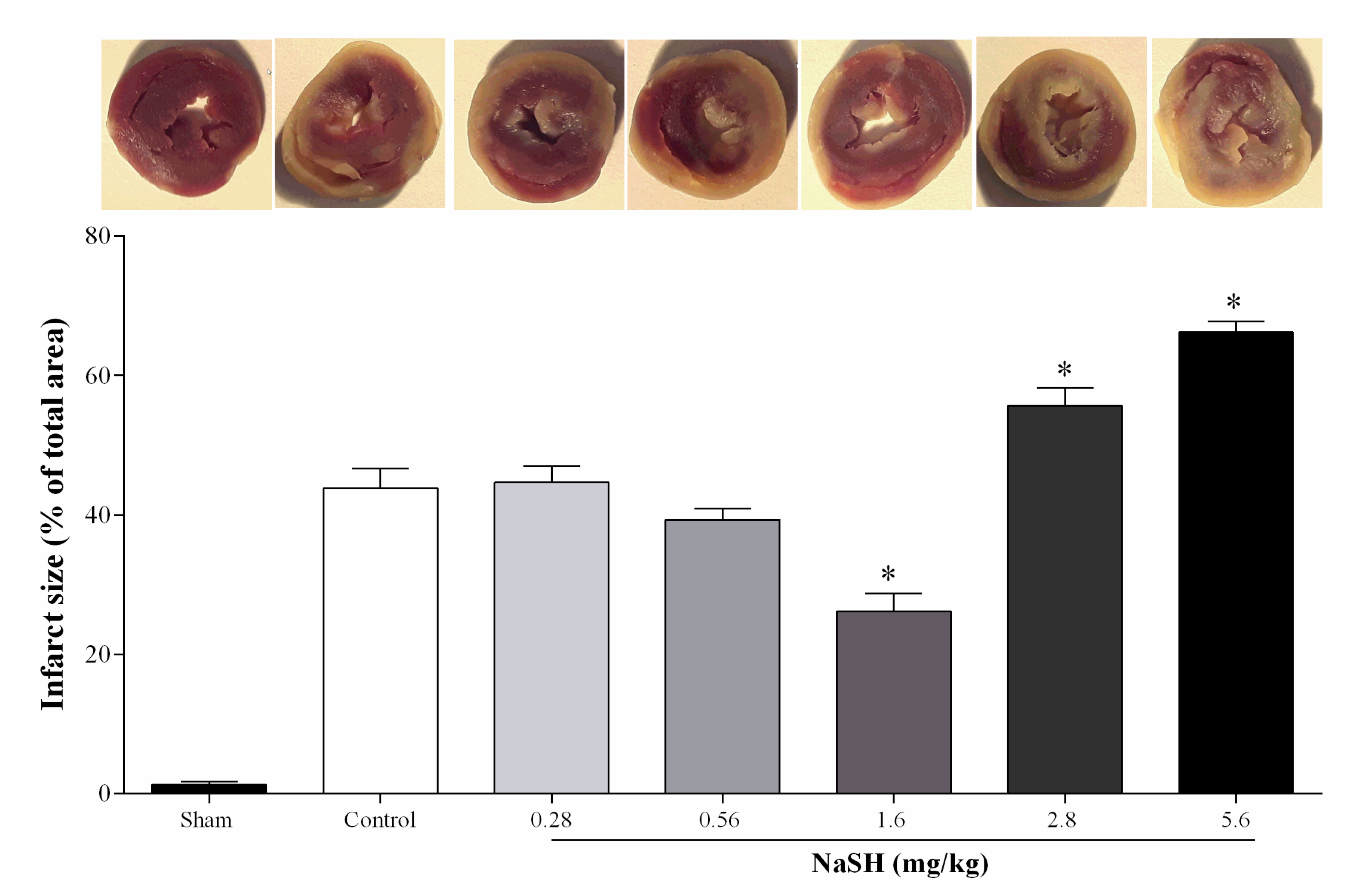 Ijms 21 01415 g005 Ijms 21 01415 g005