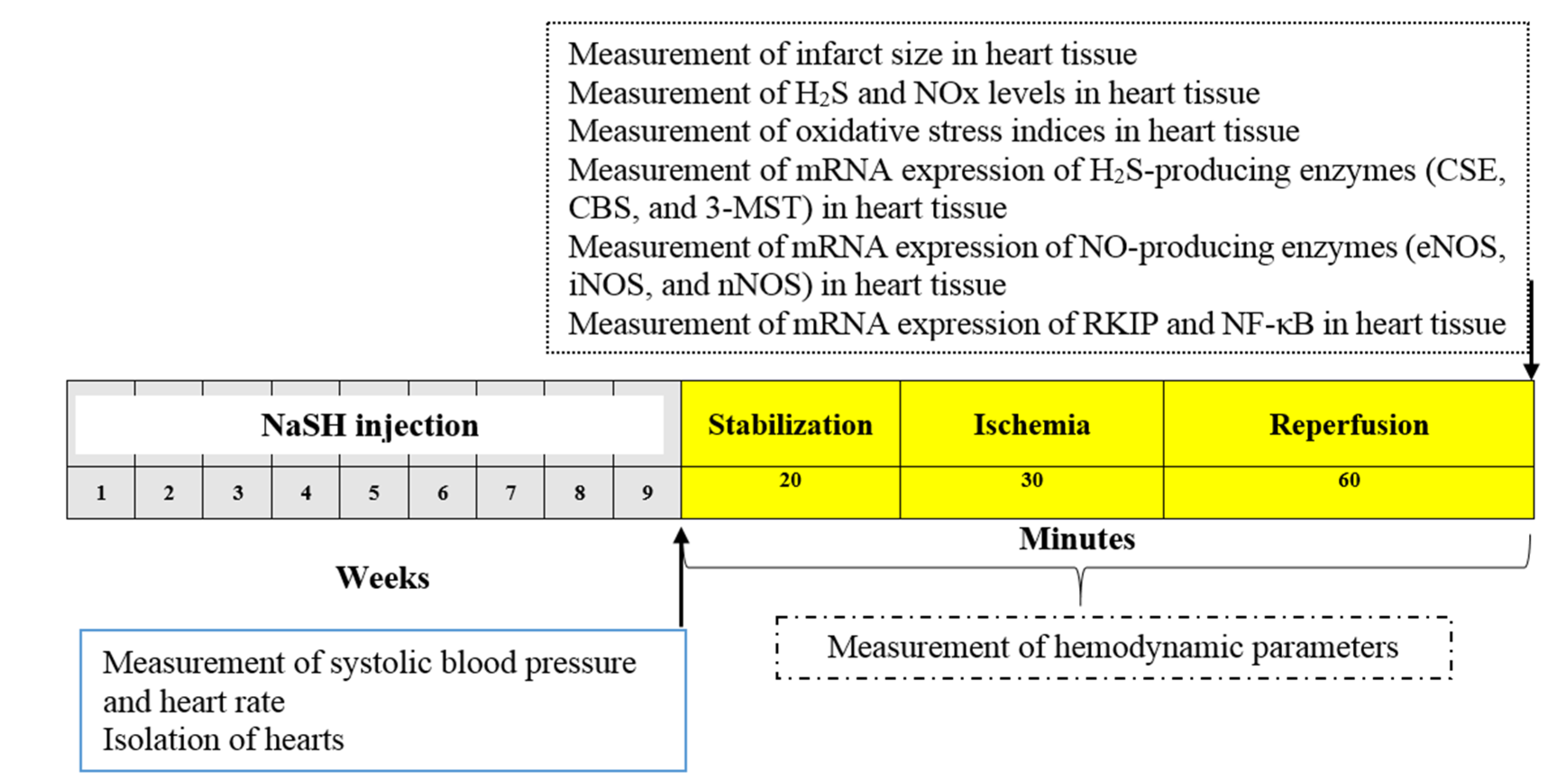 Ijms 21 01415 g009 Ijms 21 01415 g009