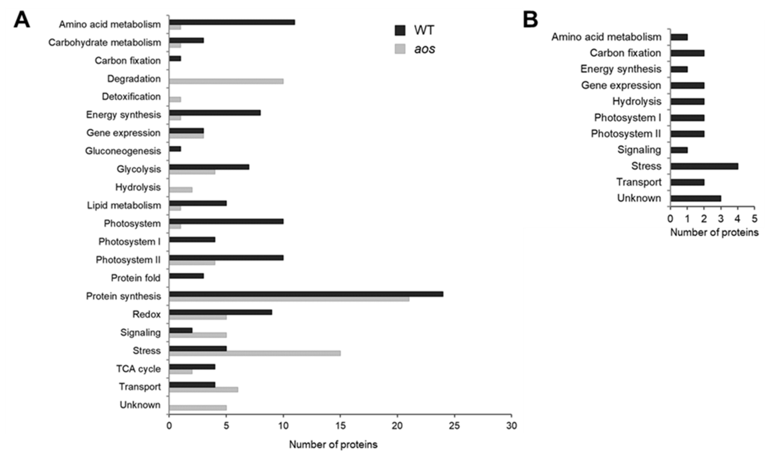 Ijms 21 01417 g003 550