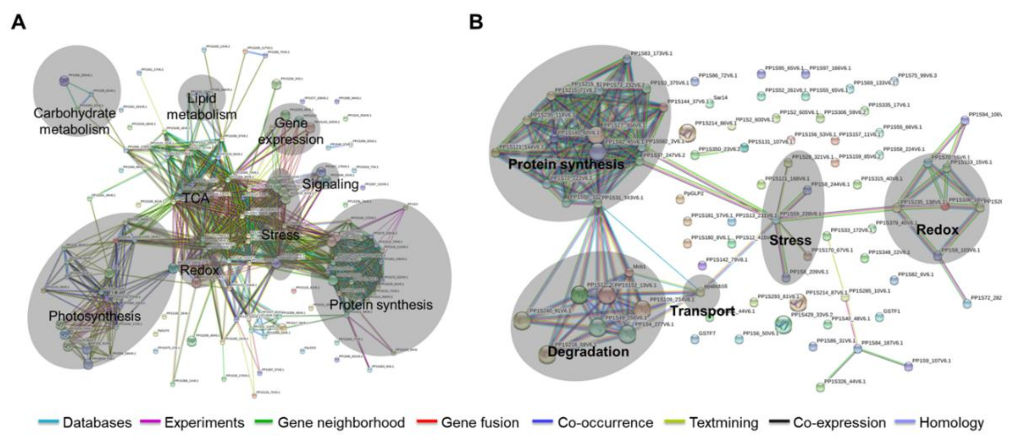 Ijms 21 01417 g004 550