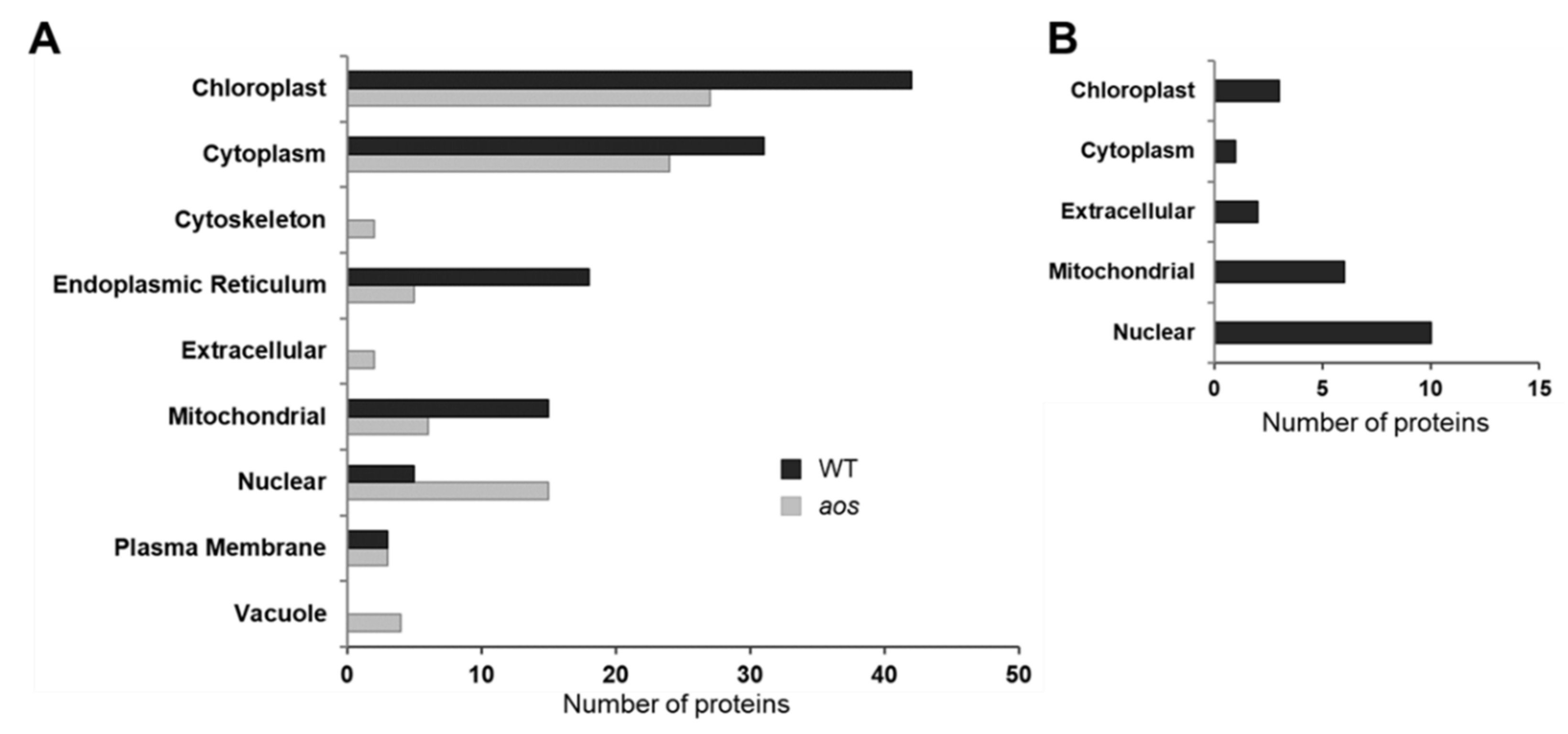 Ijms 21 01417 g005 550